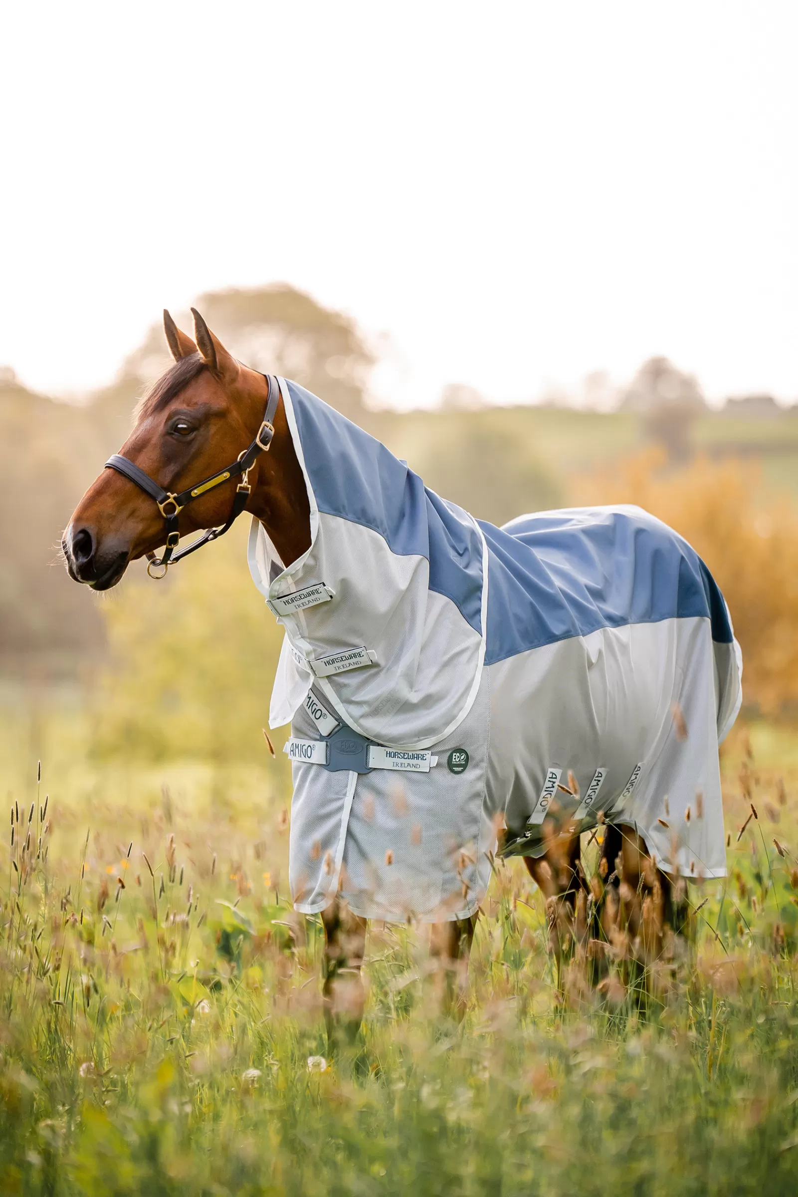 Amigo Ameco Coperta Combo>horseware Sale