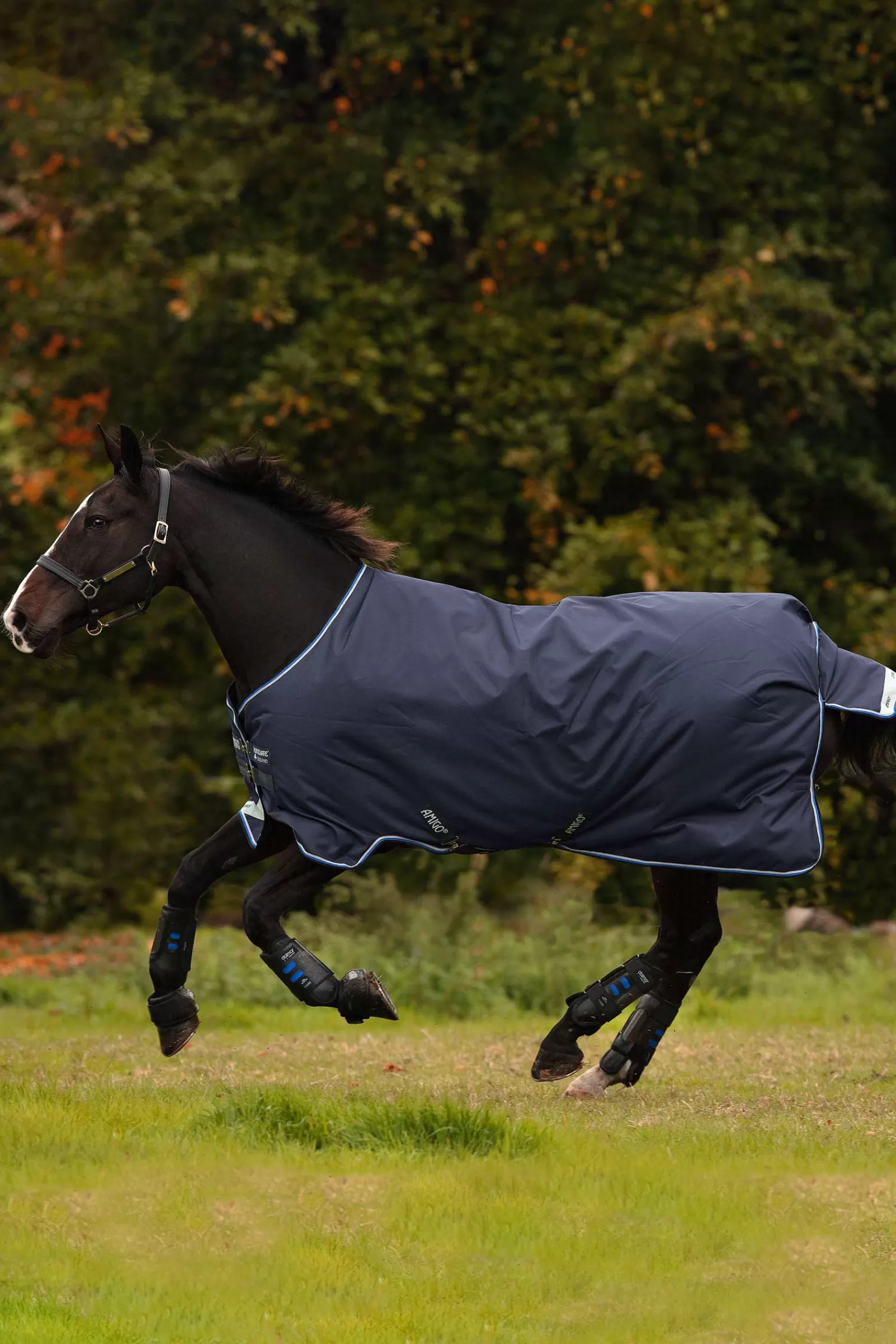 Amigo Bravo 12 Coperta, 250 Gr>horseware Best