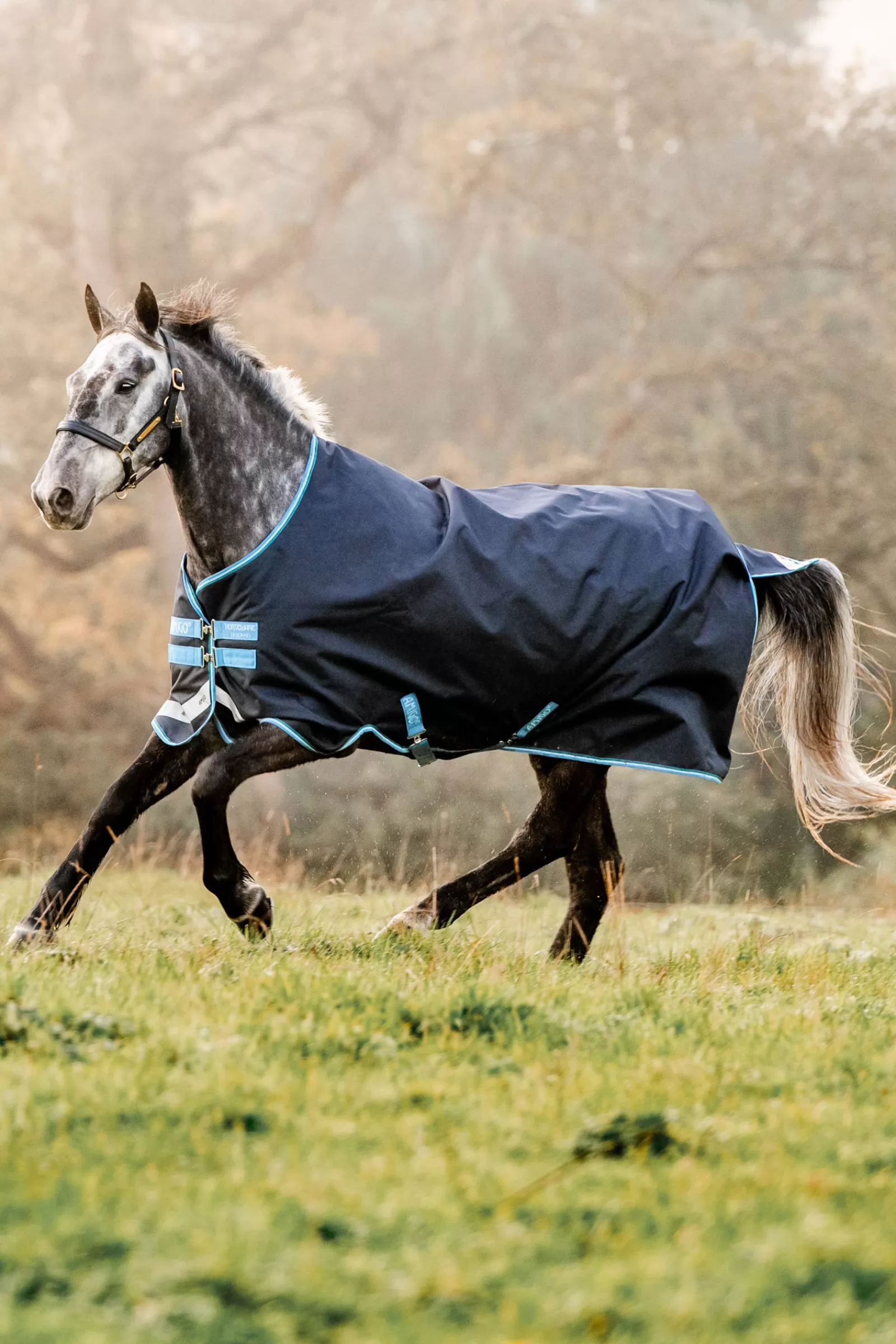 Amigo Bravo 12 Coperta Da Turnout, 100 Gr>horseware Store