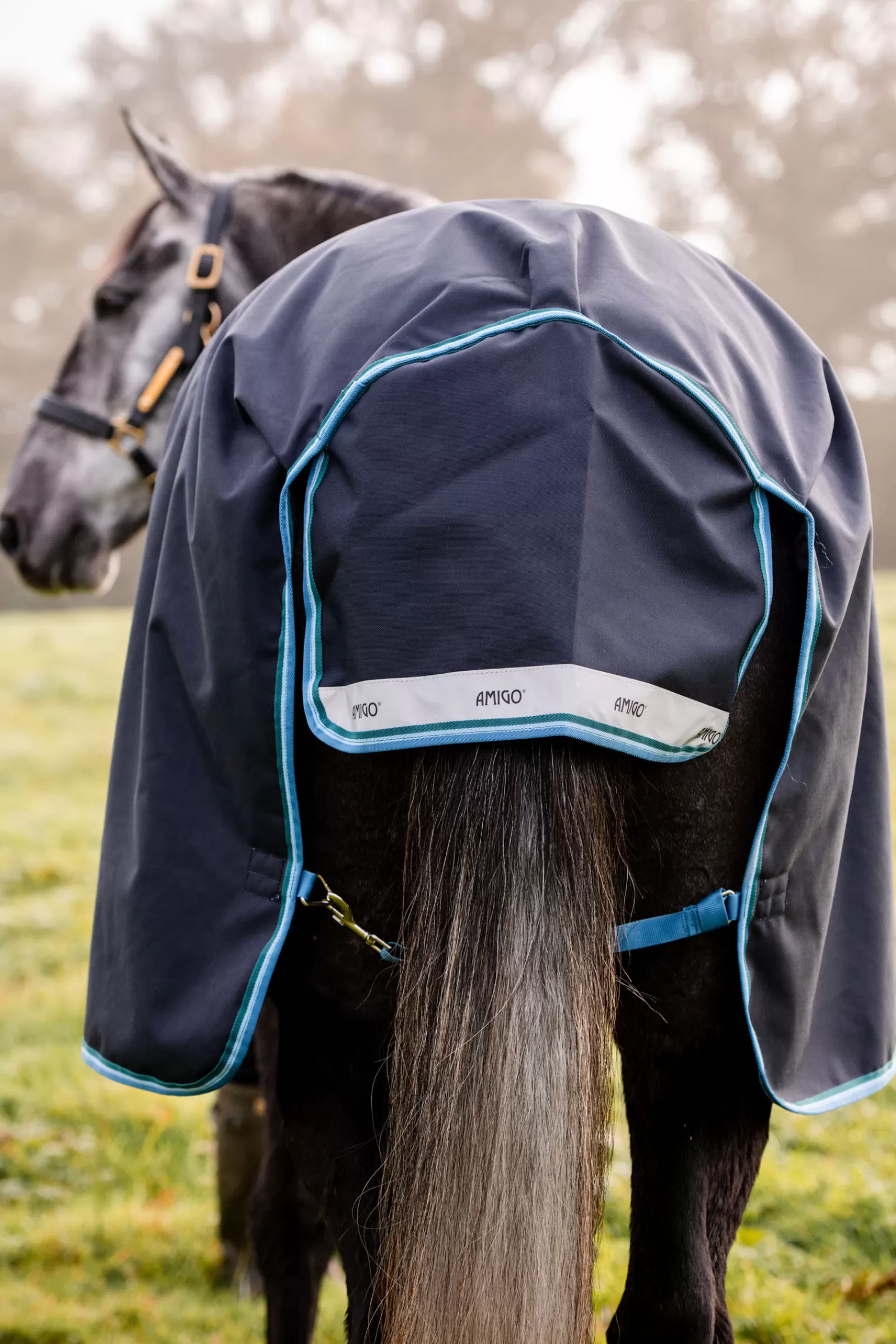 Amigo Bravo 12 Coperta Da Turnout, 100 Gr>horseware Store