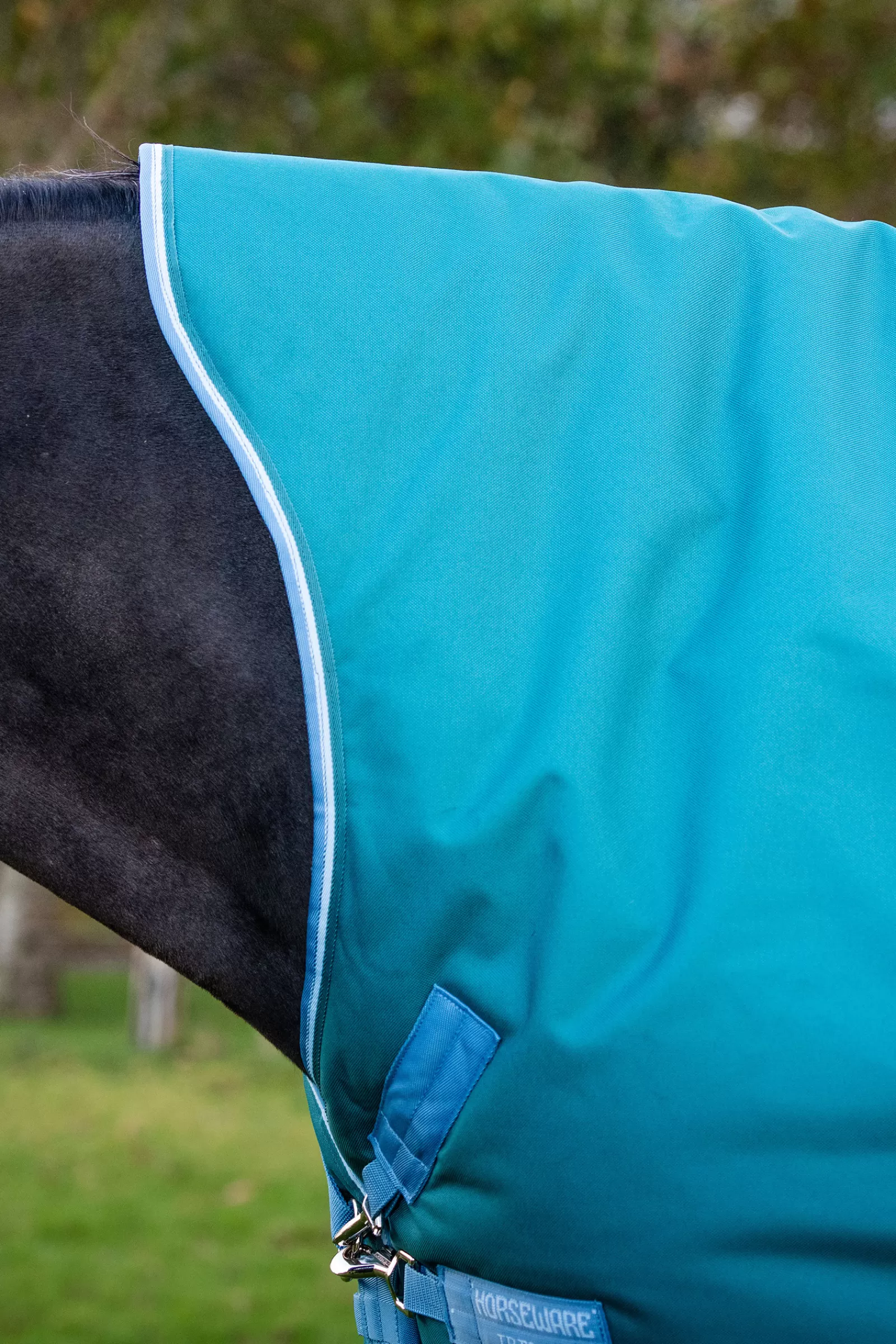 Amigo Bravo 12 Coperta Da Turnout Con Collo Alto>horseware Discount