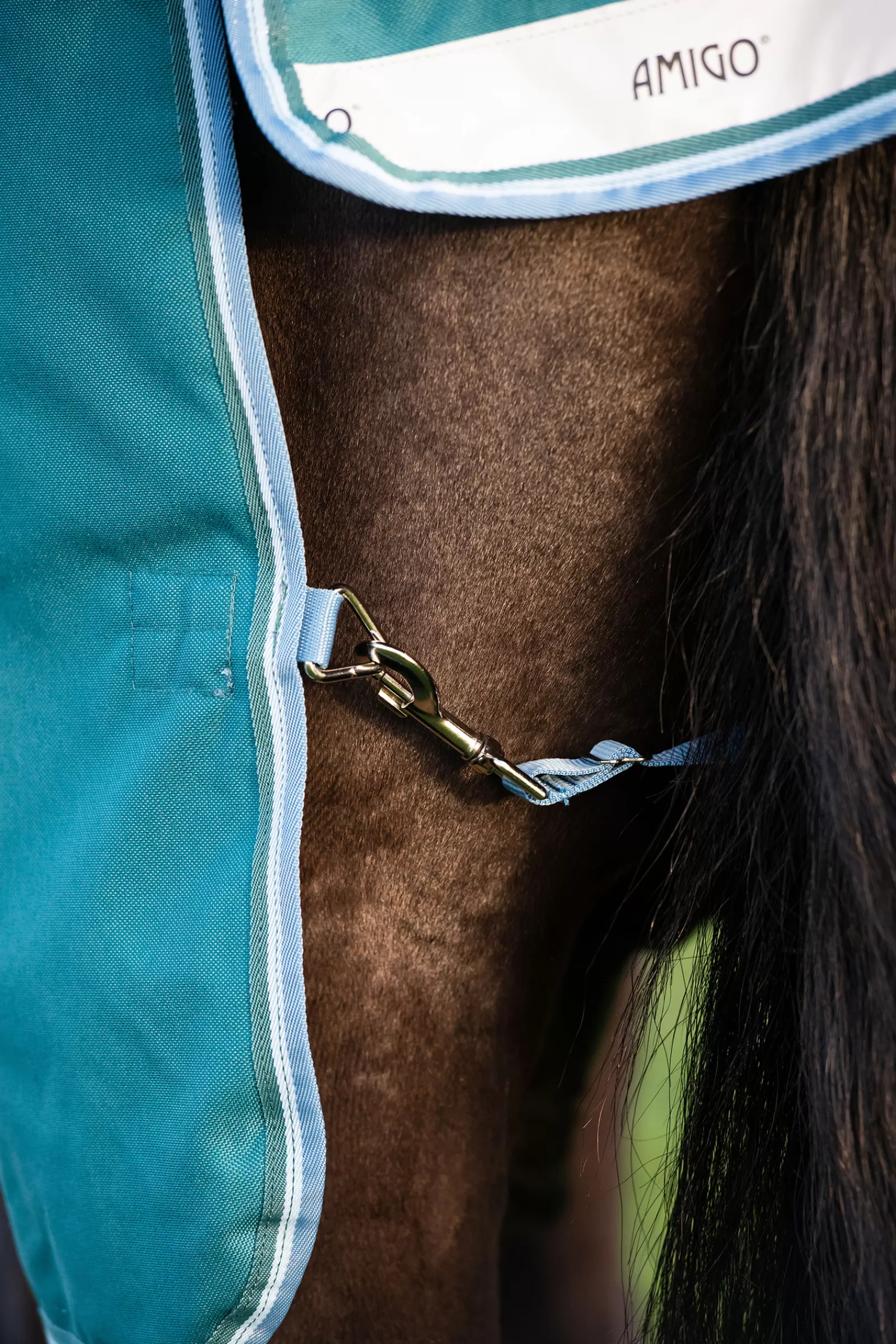 Amigo Bravo 12 Coperta Da Turnout Con Collo Alto>horseware Discount