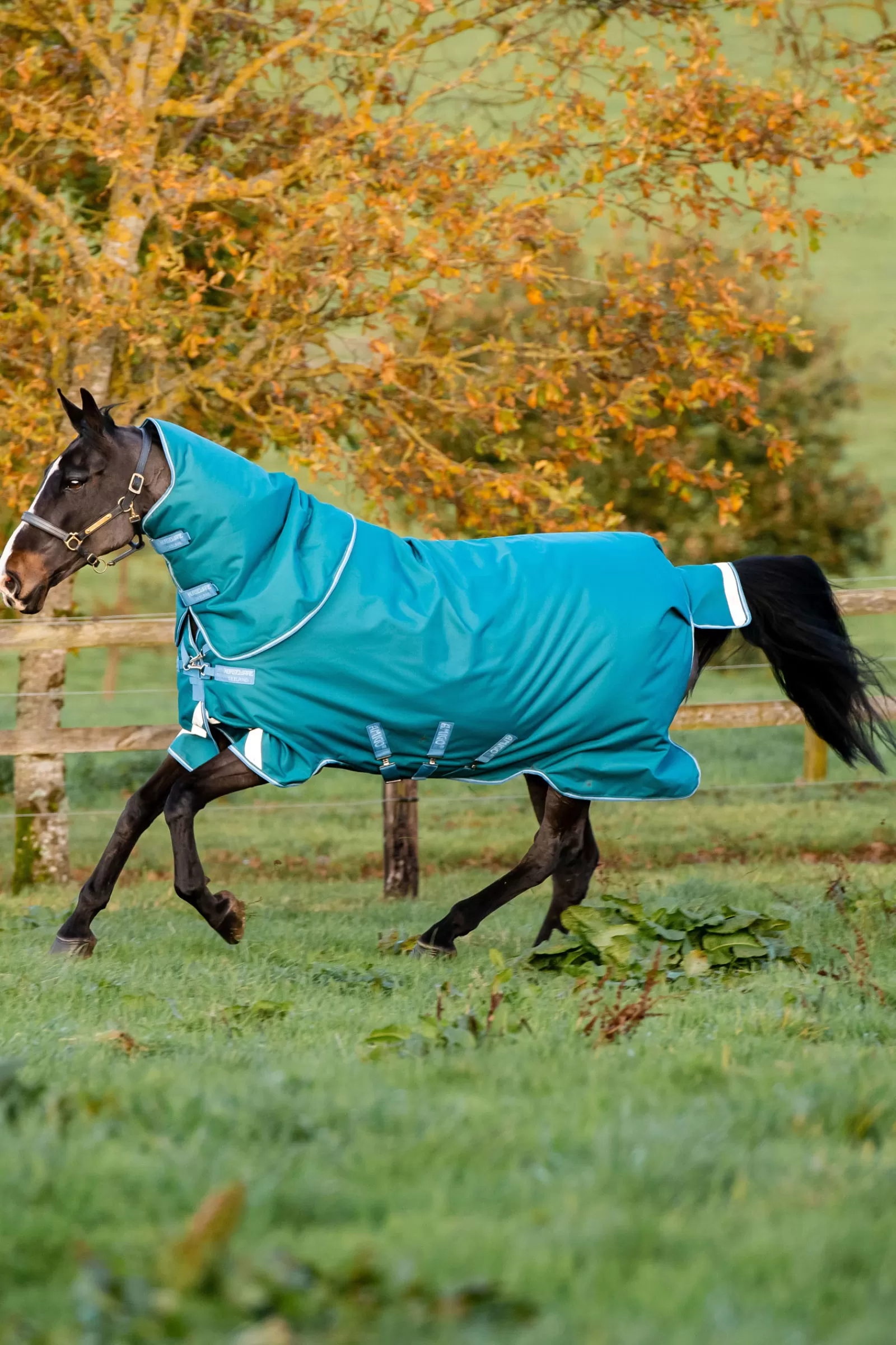 Amigo Bravo 12 Plus Coperta Da Turnout, 400 Gr>horseware Hot