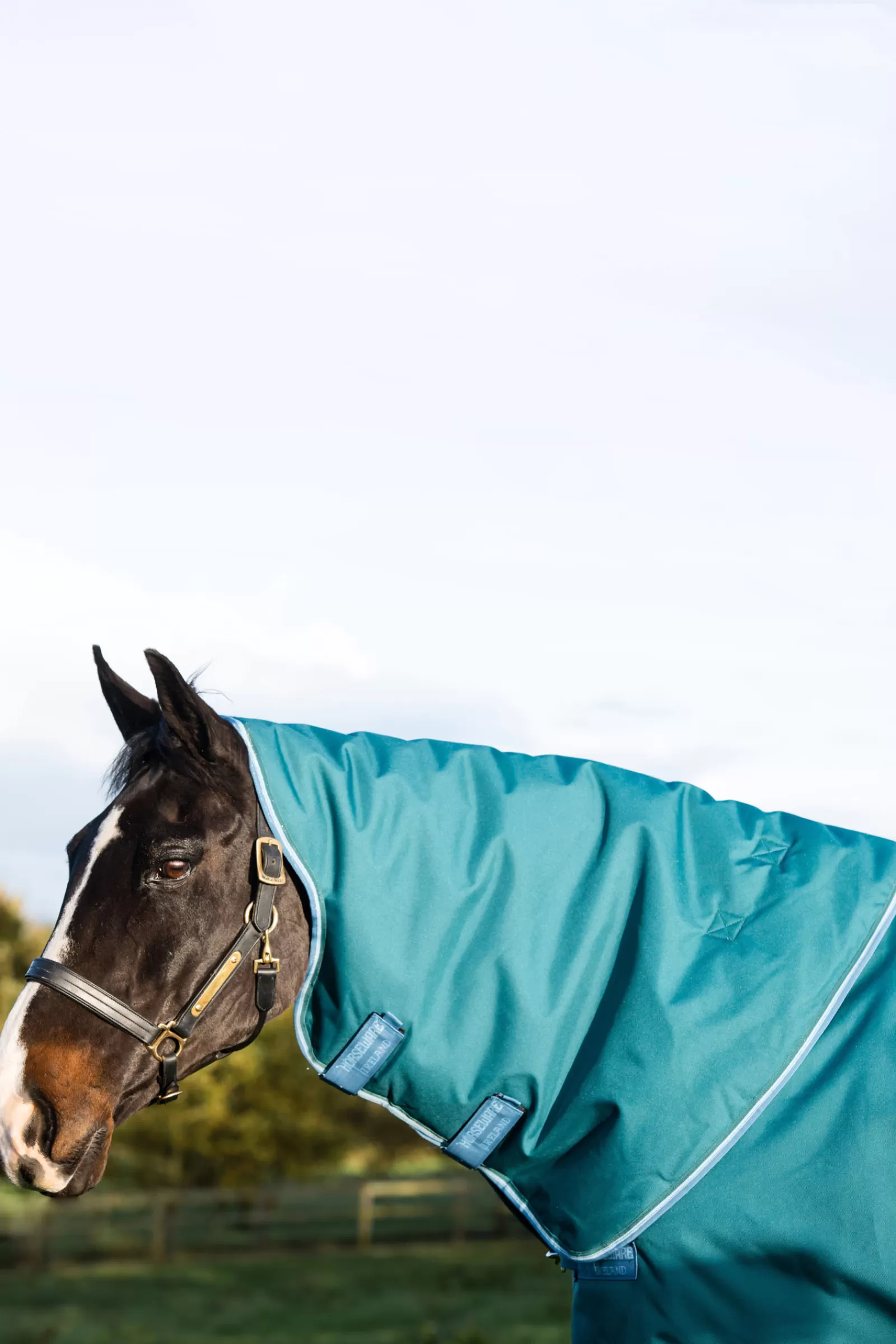 Amigo Bravo 12 Plus Coperta Da Turnout, 400 Gr>horseware Hot