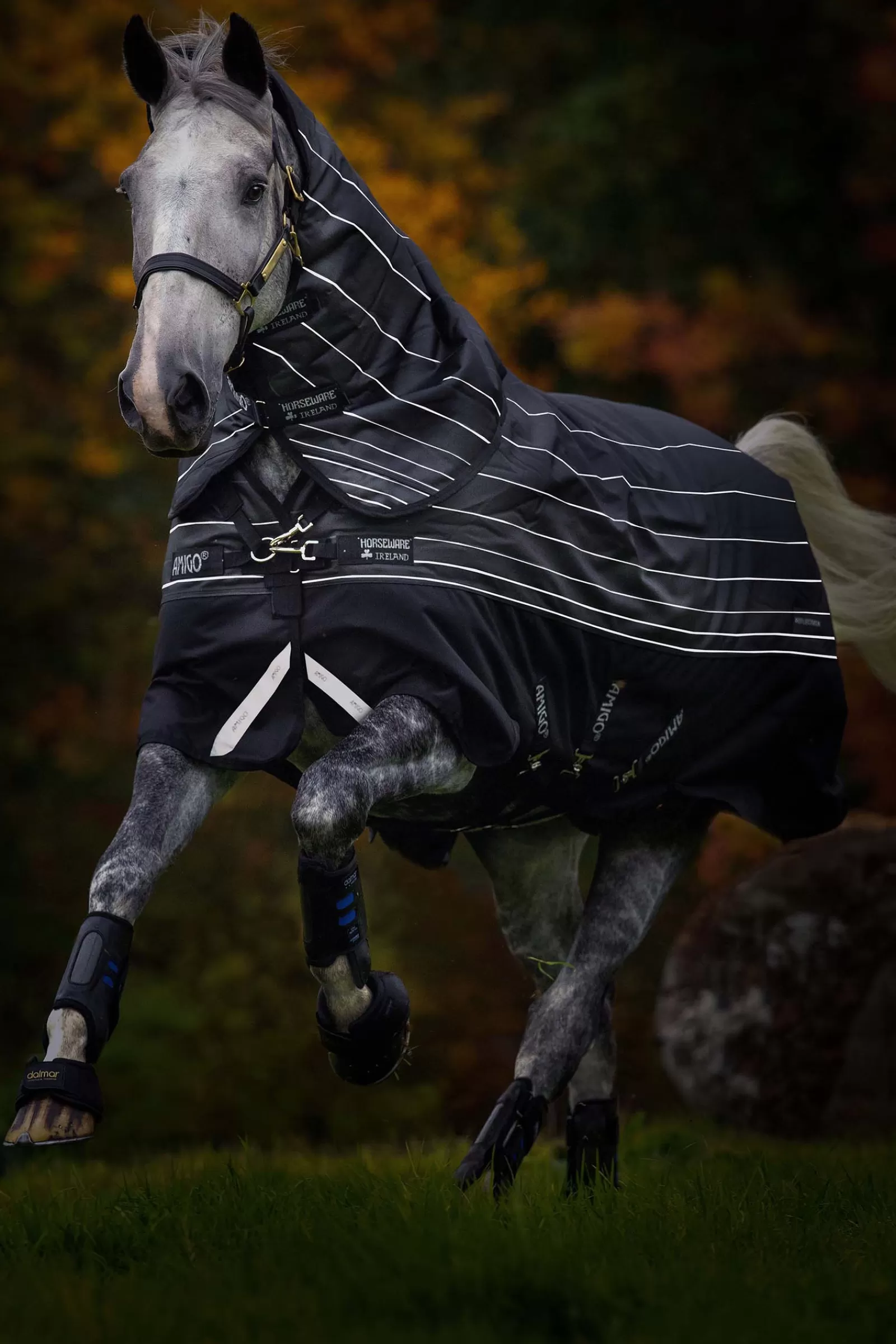 Amigo Bravo 12 Plus Coperta Da Turnout Riflettente Con Collo Rimovibile, 250 Gr>horseware Hot