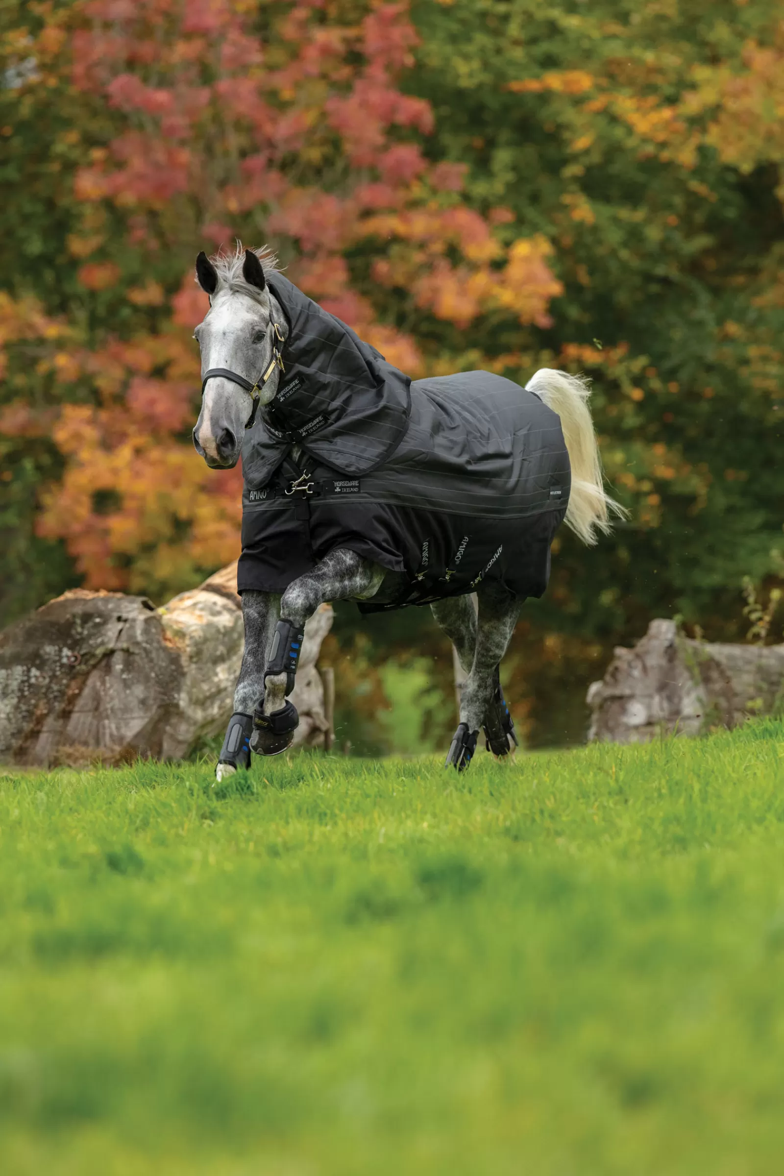 Amigo Bravo 12 Plus Coperta Da Turnout Riflettente Con Collo Rimovibile, 250 Gr>horseware Hot
