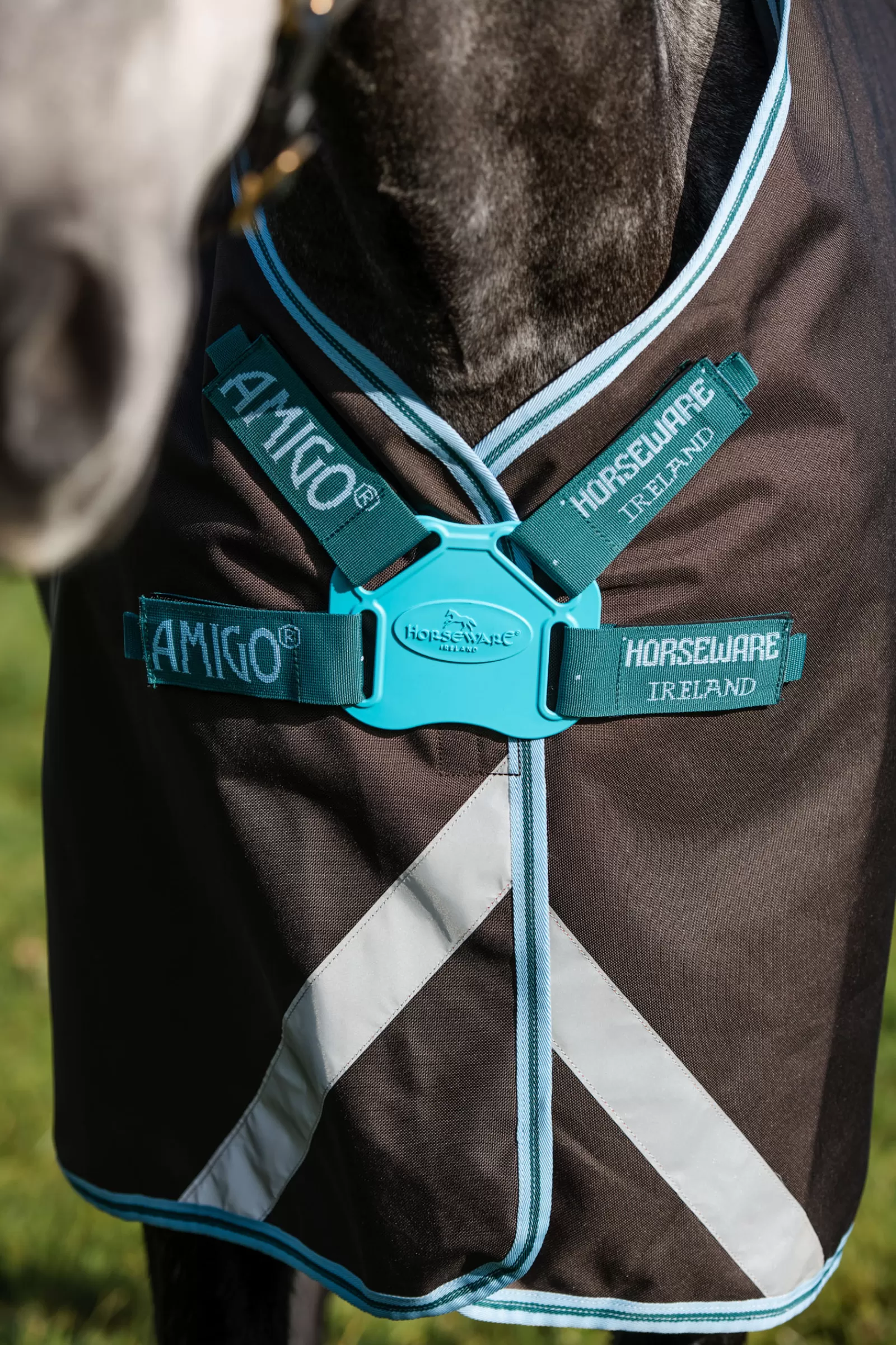 Amigo Bravo 12 Plus Disc Coperta Da Turnout, 250 Gr>horseware Store