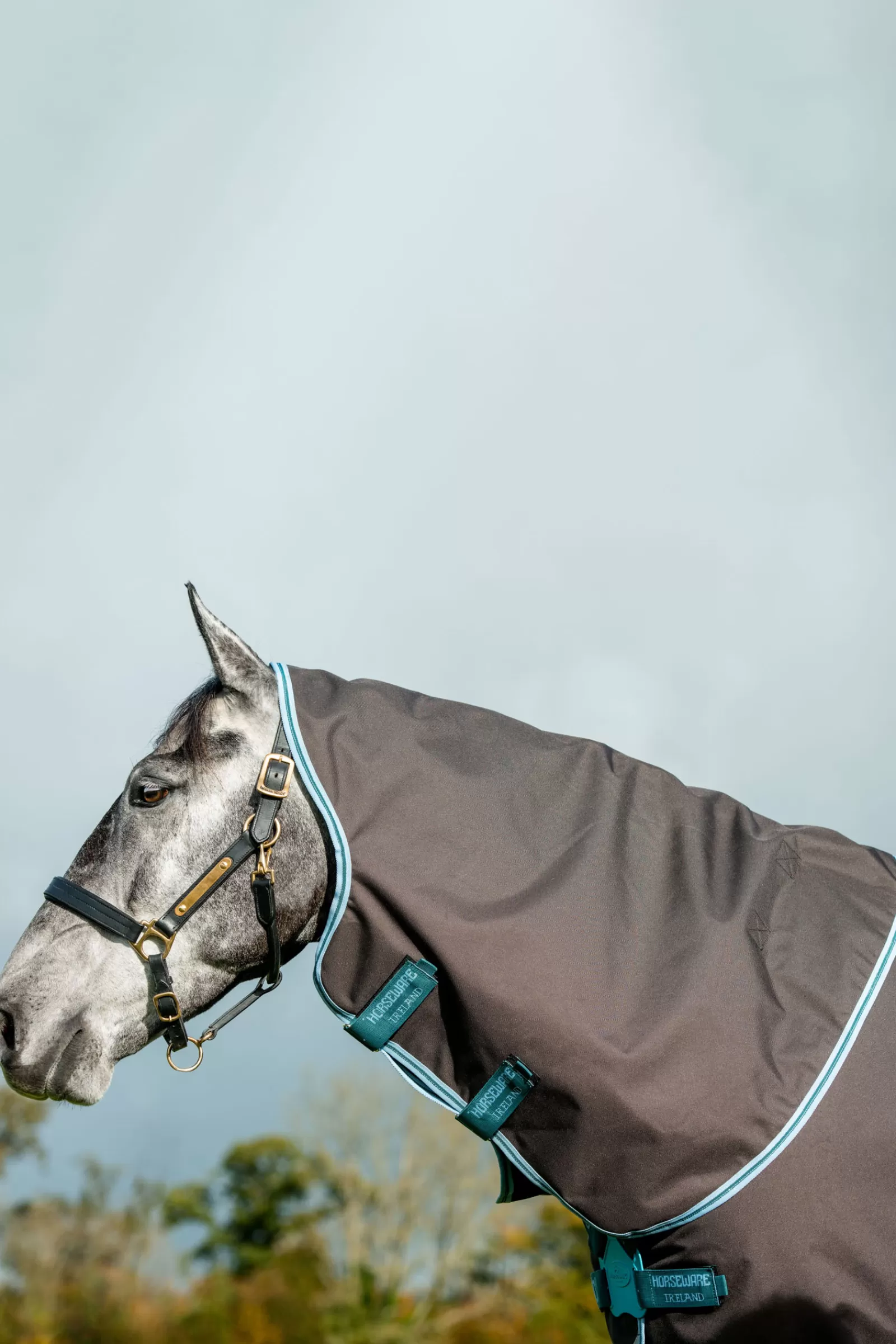Amigo Bravo 12 Plus Disc Coperta Da Turnout, 250 Gr>horseware Store