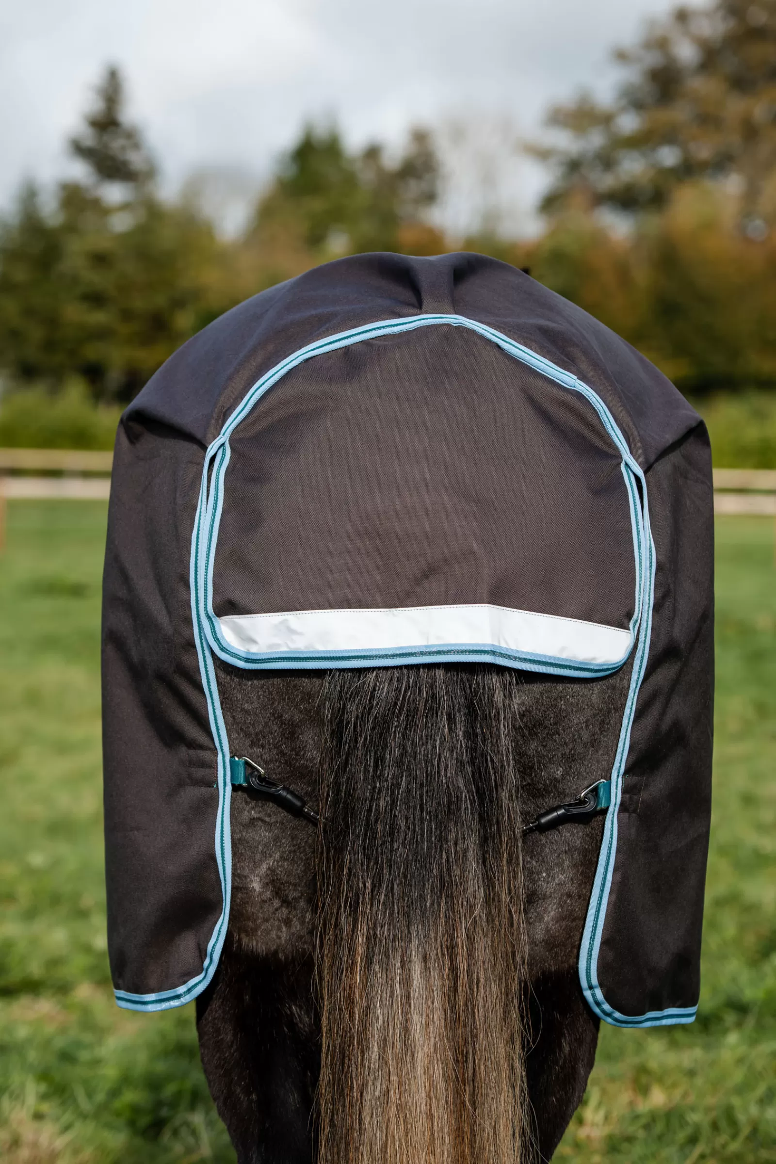 Amigo Bravo 12 Plus Disc Coperta Da Turnout, 250 Gr>horseware Store
