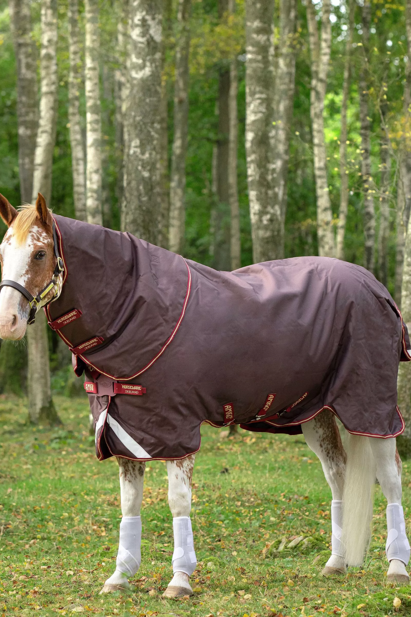 Amigo Bravo 12 Plus Disc Coperta Da Turnout Con Cappuccio Rimovibile, 100 Gr>horseware Cheap