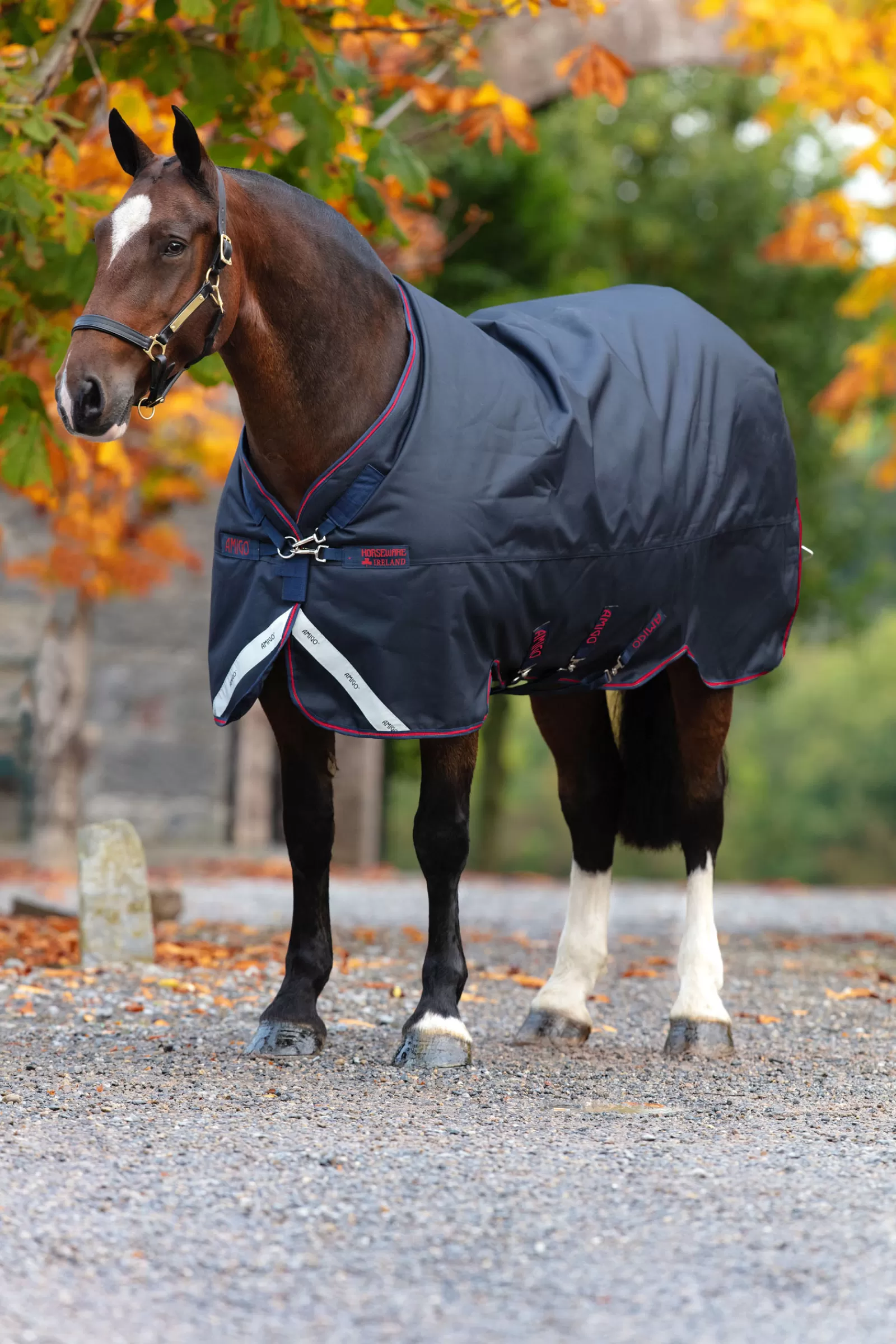 Amigo Bravo 12 Xl Turnout, 0G>horseware Cheap