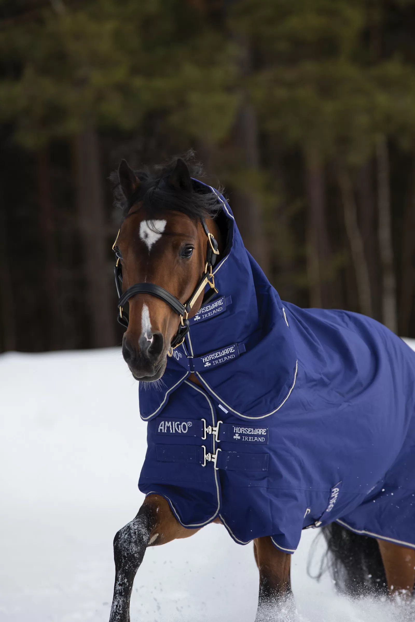 Amigo Hero 900 Plus - Tappeto Medio Per Affluenza, 200 G>horseware Flash Sale