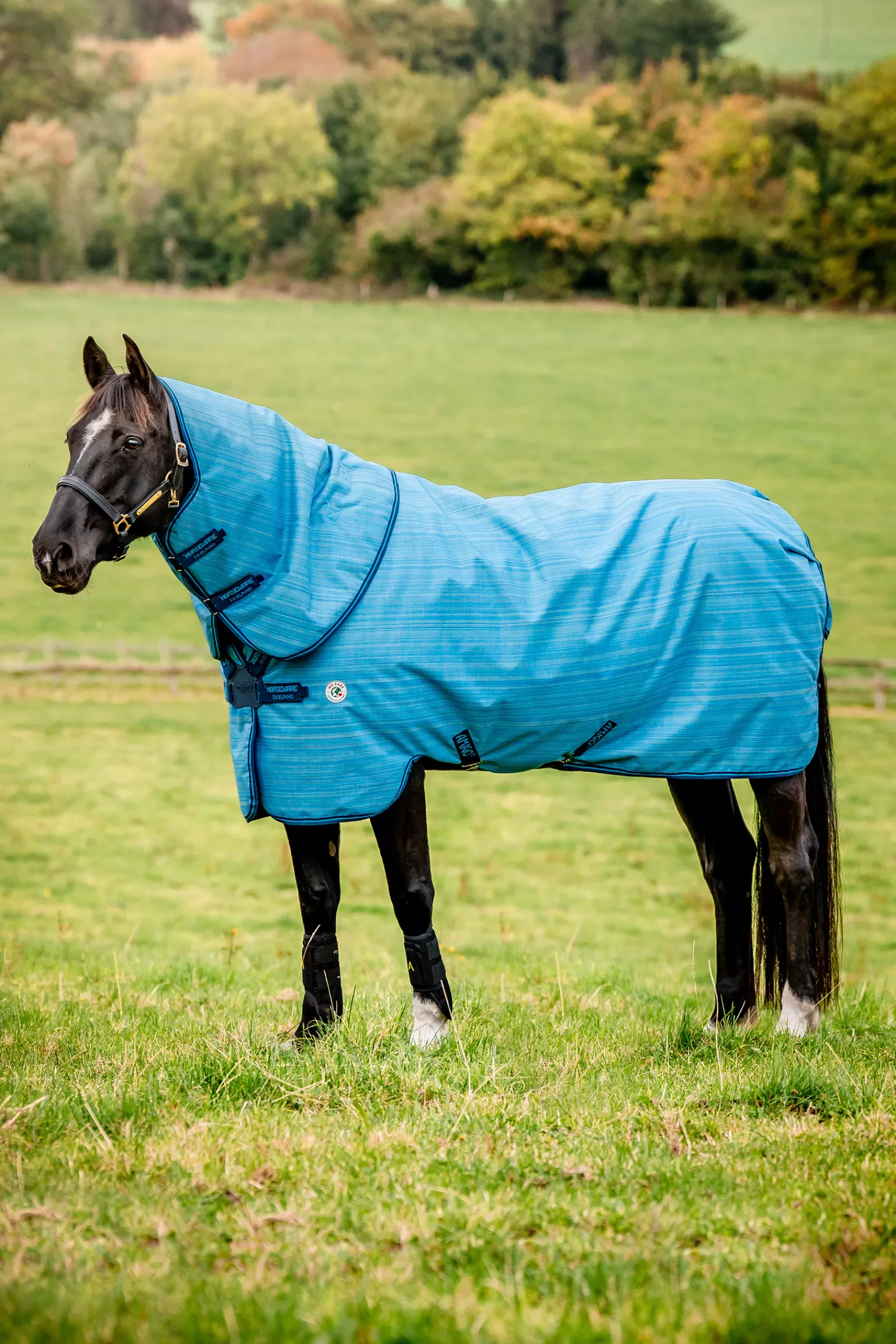 Amigo Hero 900 Revive Plus Coperta Da Turnout Con Collo Rimovibile, 50 Gr>horseware Best