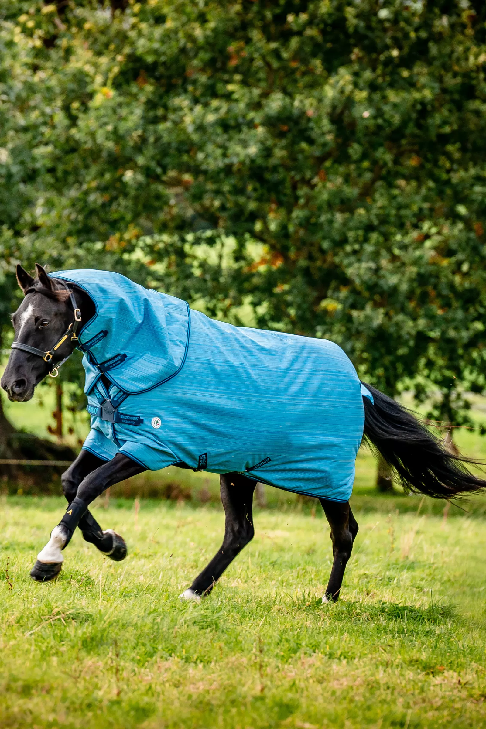 Amigo Hero 900 Revive Plus Coperta Da Turnout Con Collo Rimovibile, 50 Gr>horseware Best