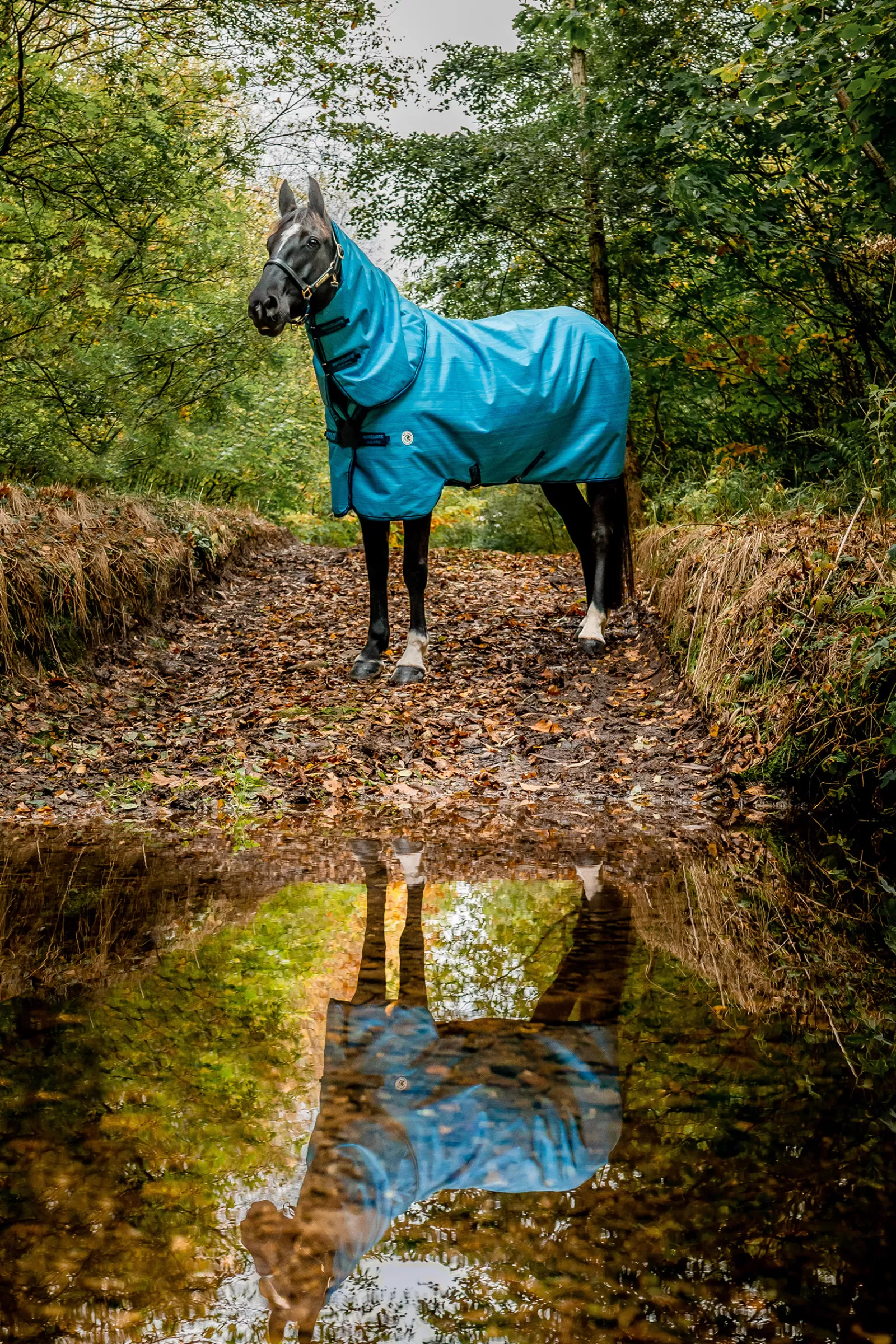 Amigo Hero 900 Revive Plus Coperta Da Turnout Con Collo Rimovibile, 50 Gr>horseware Best