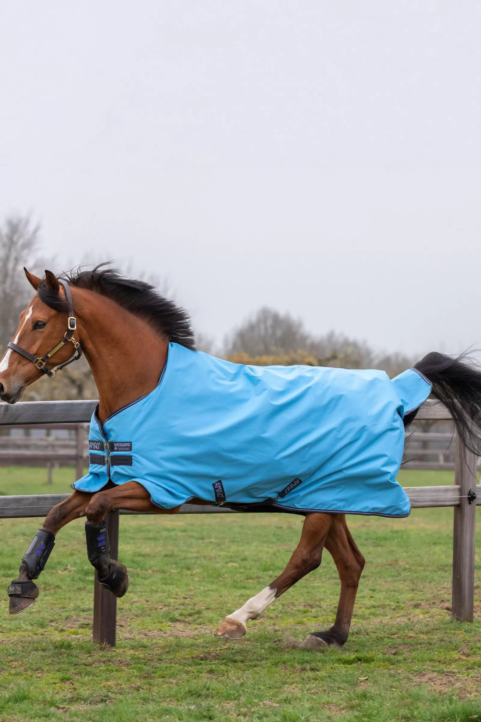 Amigo Hero 900 T/O Lite Tappeto Turnout, 0 G>horseware Outlet