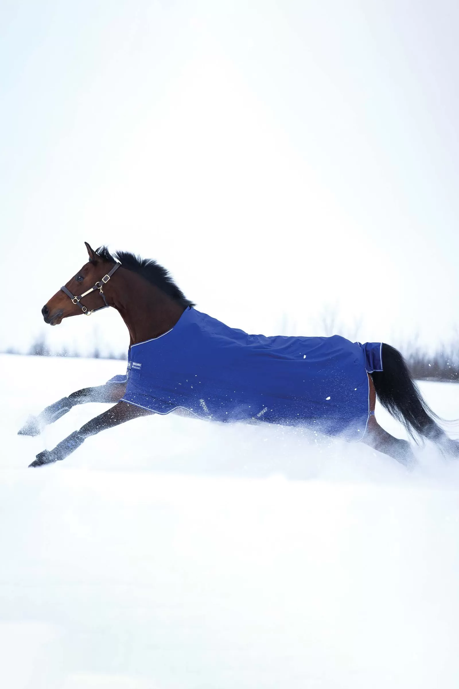 Amigo Hero Coperta Da Turnout 900 T/O Med, 200 G>horseware Online