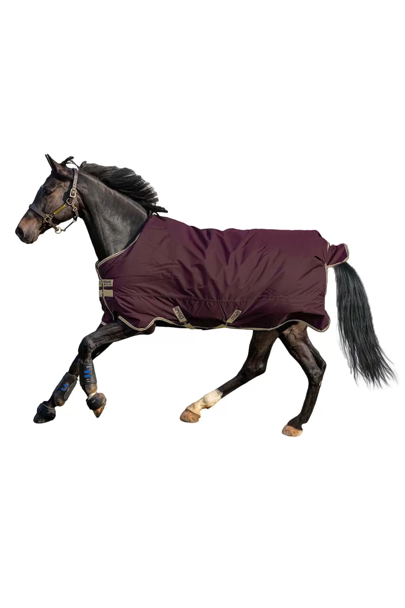 Amigo Hero Coperta Da Turnout In Ripstop, 0 Gr>horseware Hot