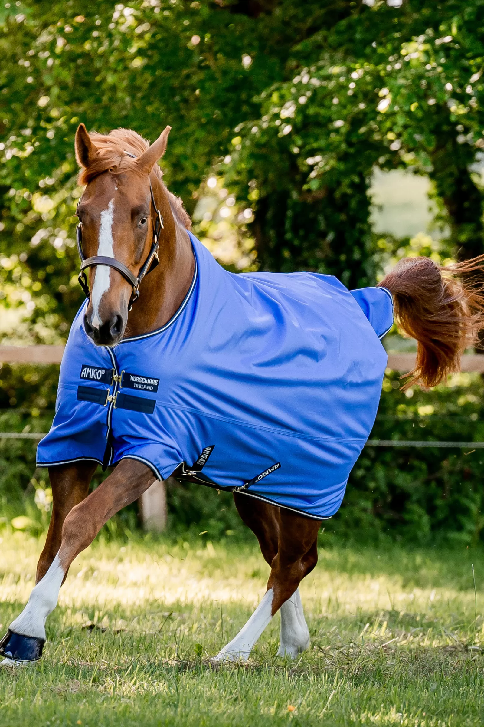 Amigo Hero Coperta Da Turnout In Ripstop 50 Gr>horseware Cheap
