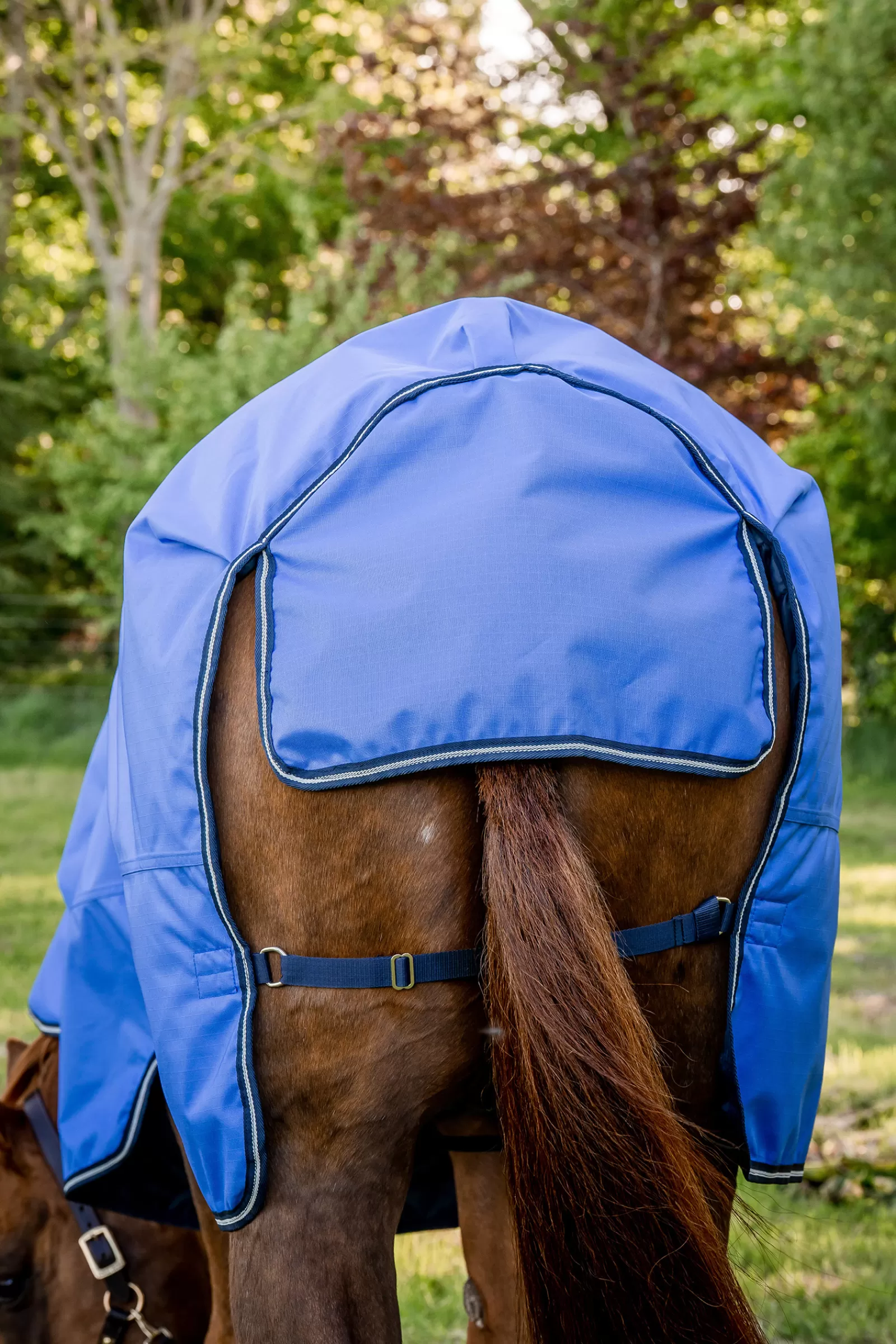 Amigo Hero Coperta Da Turnout In Ripstop 50 Gr>horseware Cheap