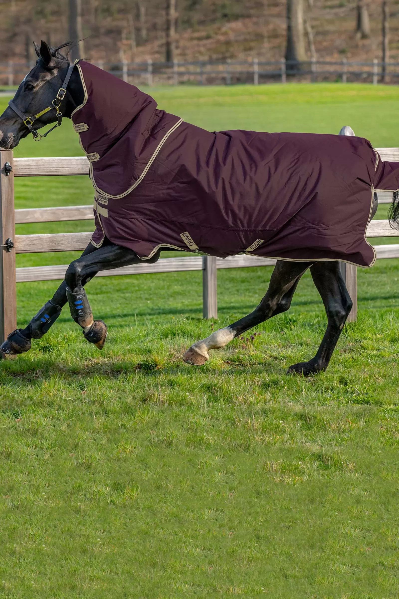 Amigo Hero Coperta Da Turnout In Ripstop Plus Con Cappuccio Rimovibile, 0 Gr>horseware Hot