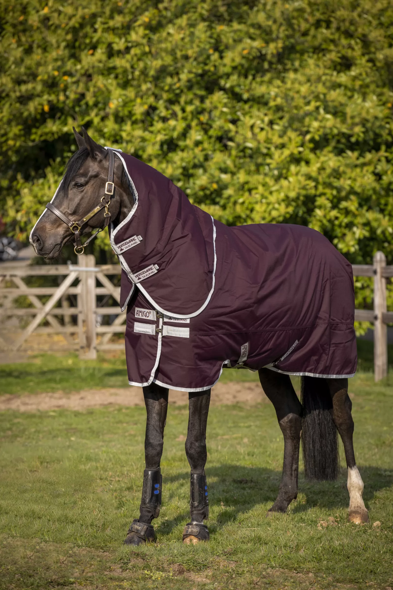 Amigo Hero Coperta Da Turnout In Ripstopplus Medium Con Cappuccio Rimovibile, 200 Gr>horseware Shop