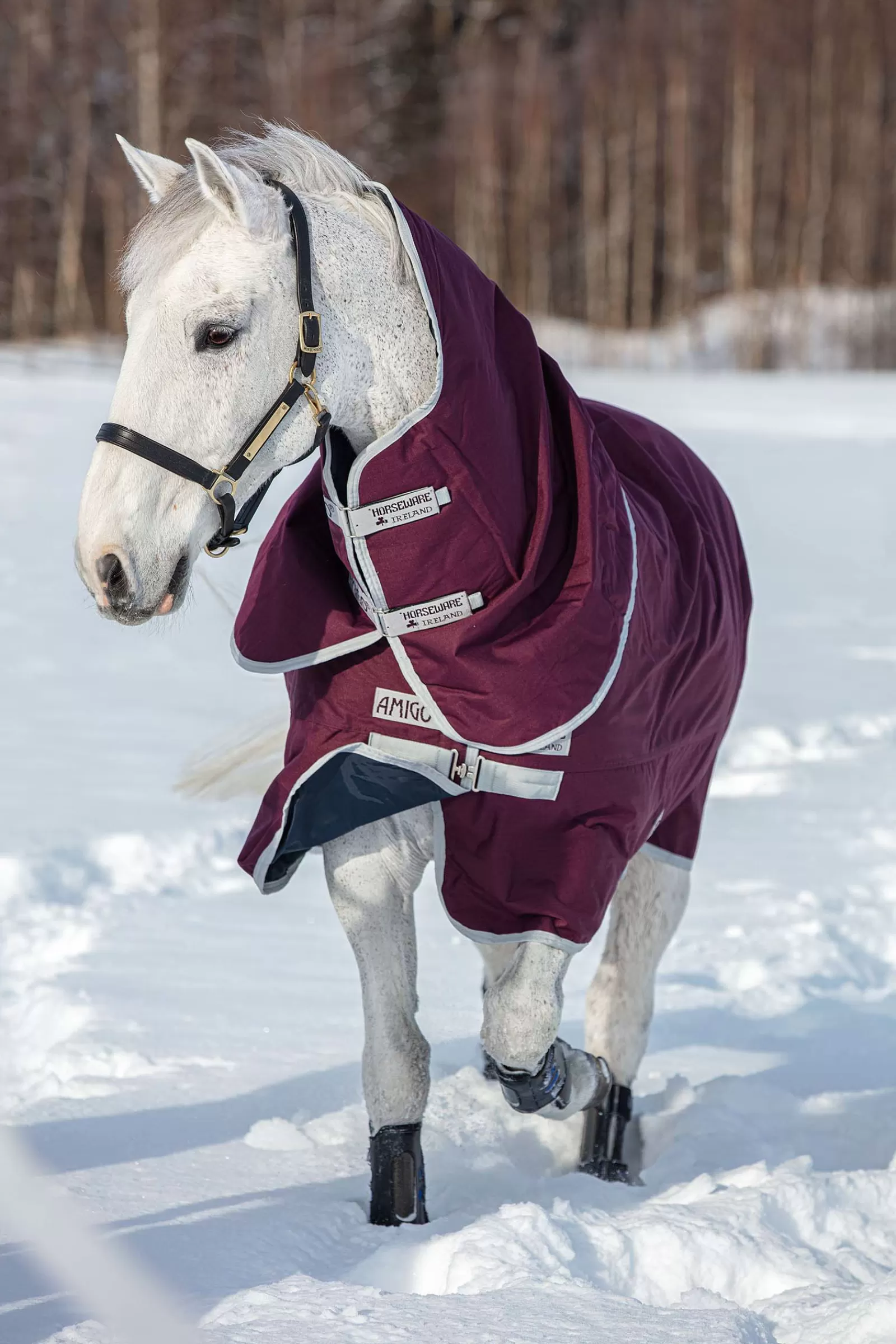 Amigo Hero Coperta Da Turnout In Ripstopplus Medium Con Cappuccio Rimovibile, 200 Gr>horseware Shop