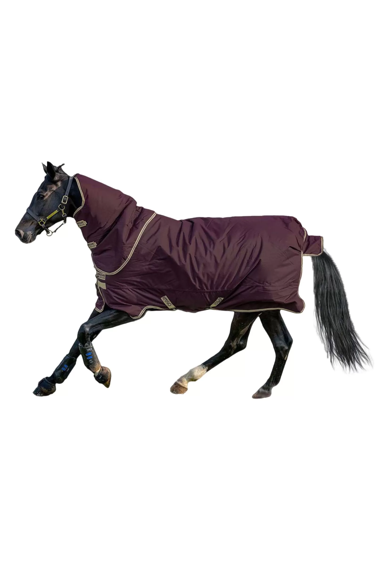 Amigo Hero Ripstop Plus Coperta Da Turnout Con Collo Rimovibile, 100 Gr>horseware Clearance
