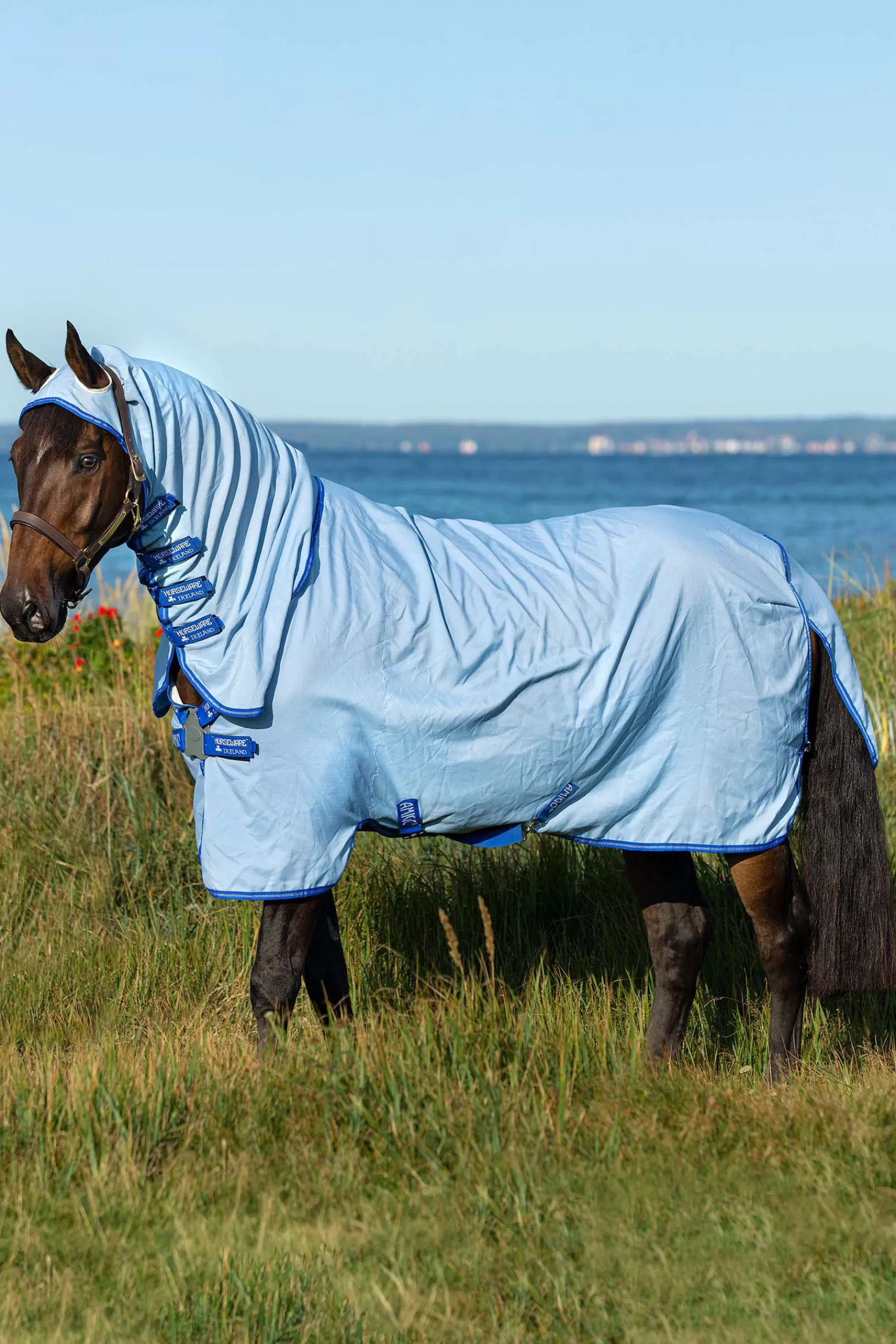 Amigo Hoody Sweet Itch Coperta Con Collo Inamovibile>horseware New