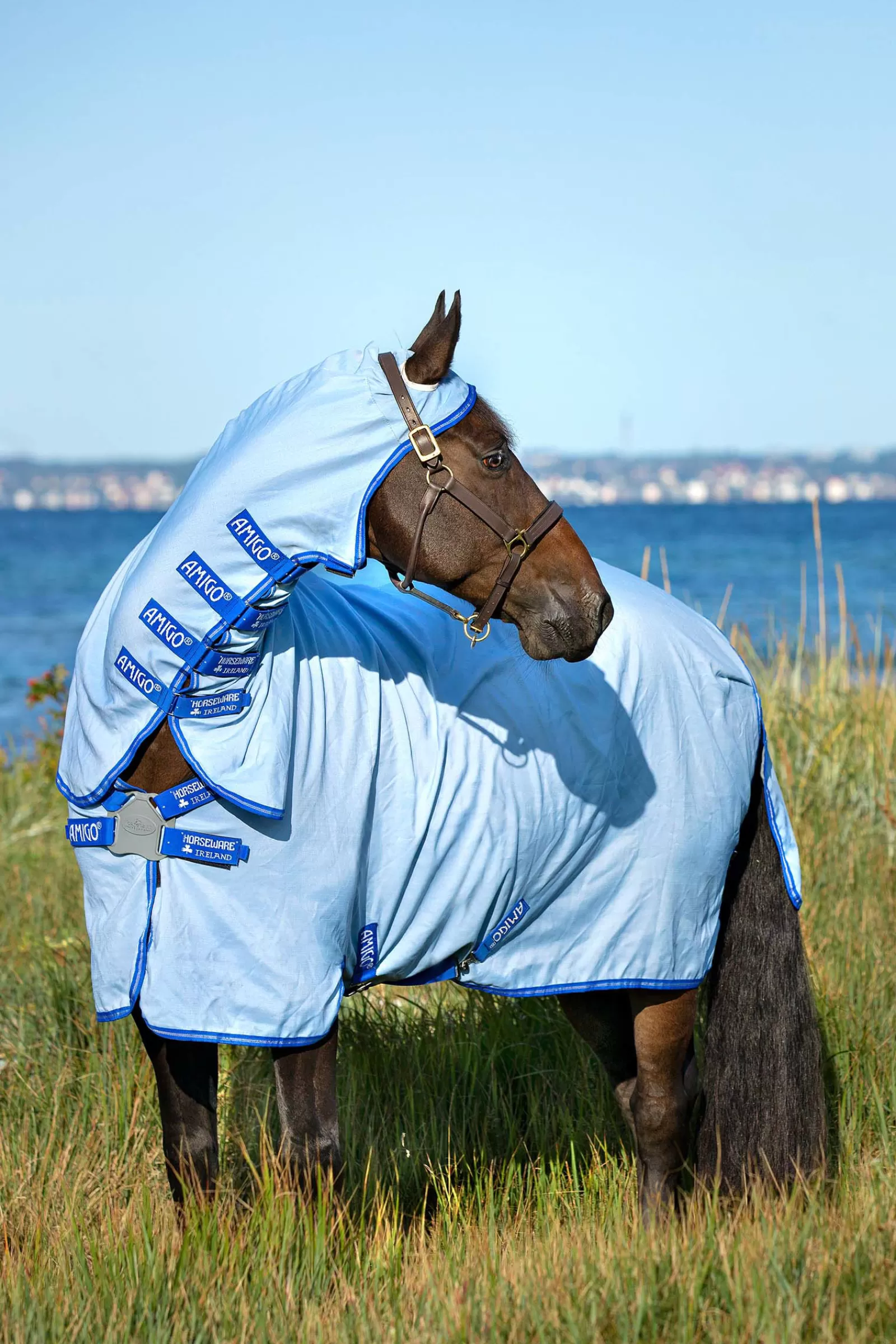 Amigo Hoody Sweet Itch Coperta Con Collo Inamovibile>horseware New