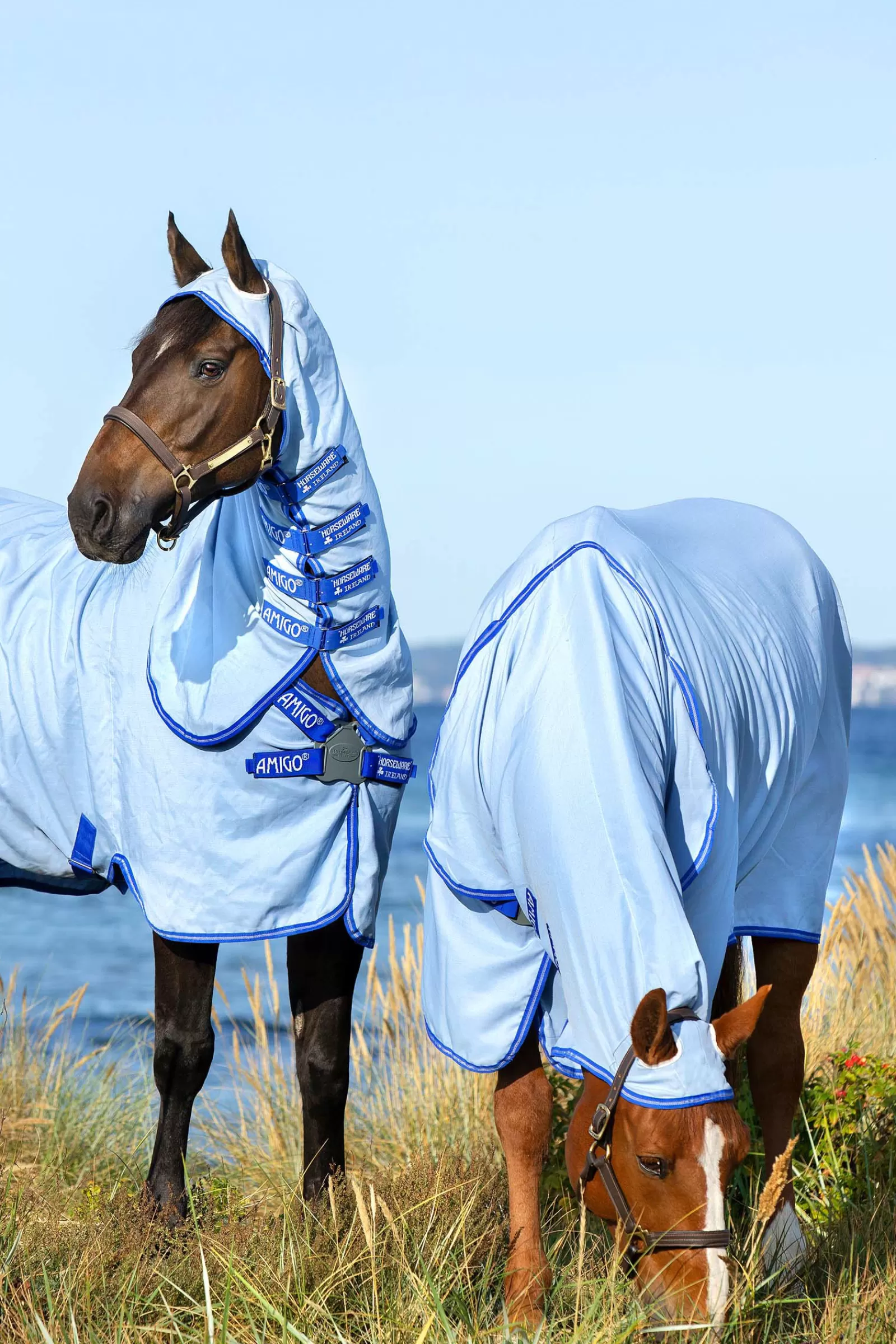Amigo Hoody Sweet Itch Coperta Con Collo Inamovibile>horseware New