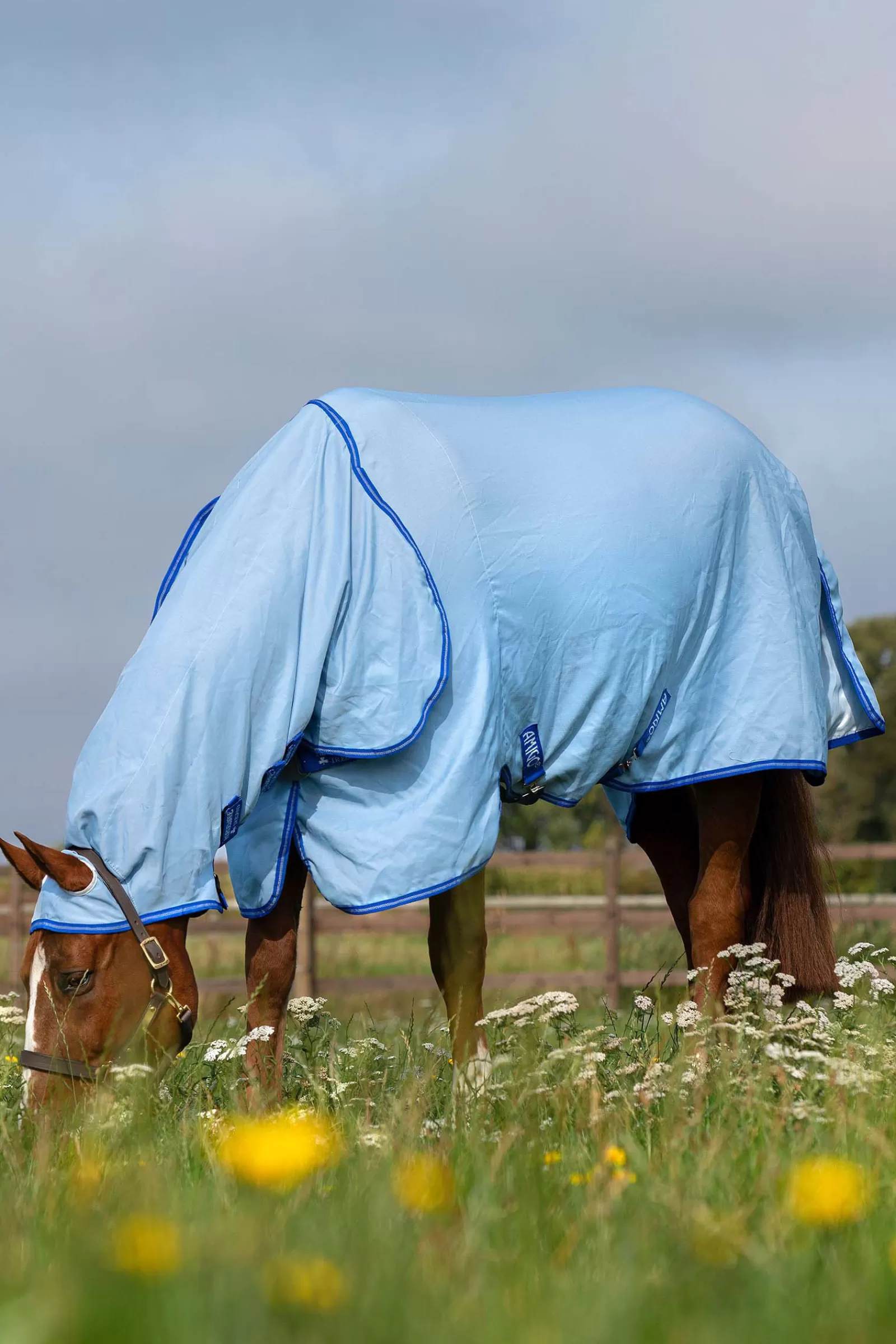 Amigo Hoody Sweet Itch Coperta Con Collo Inamovibile>horseware New