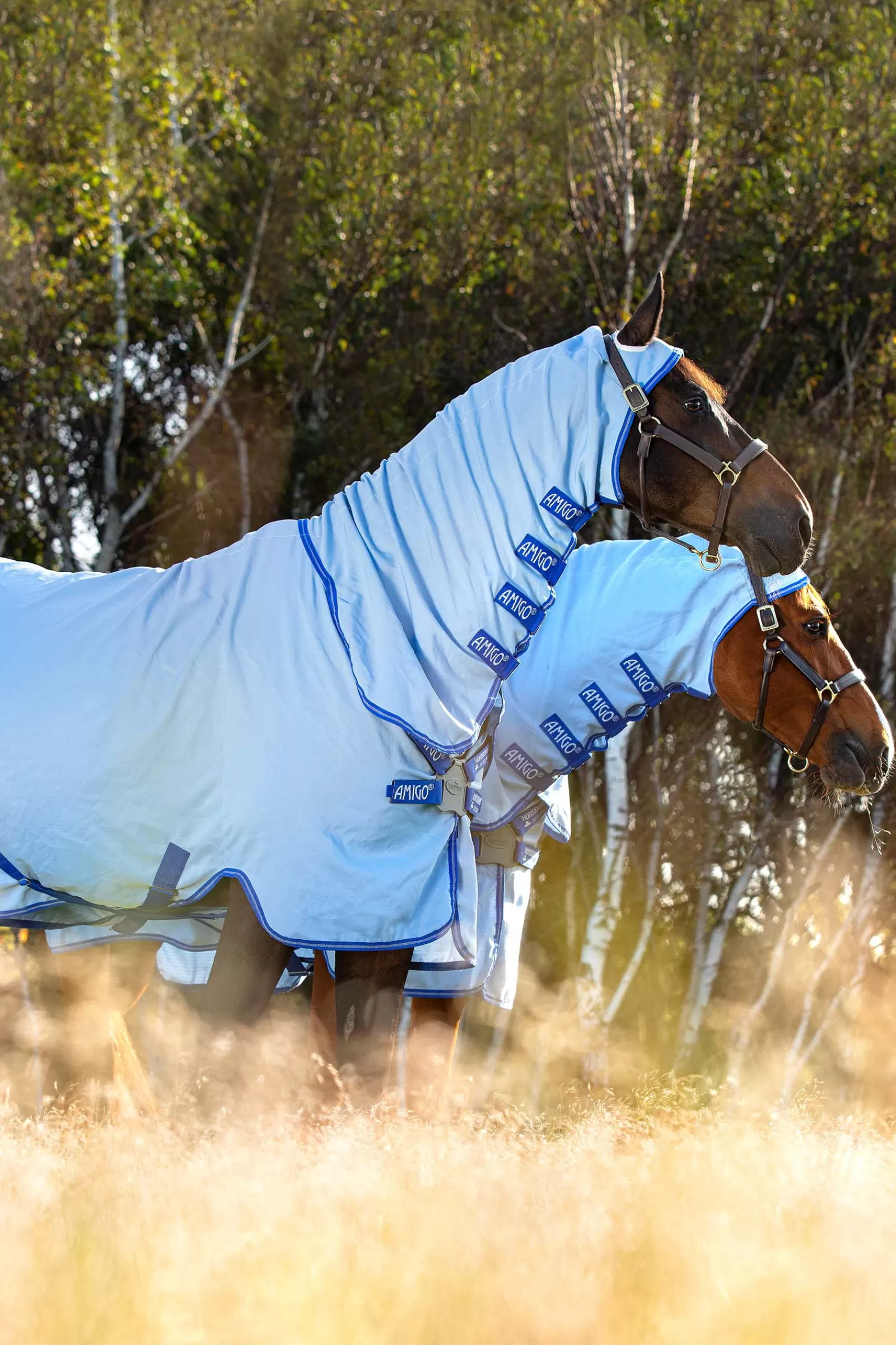Amigo Hoody Sweet Itch Coperta Con Collo Inamovibile>horseware New