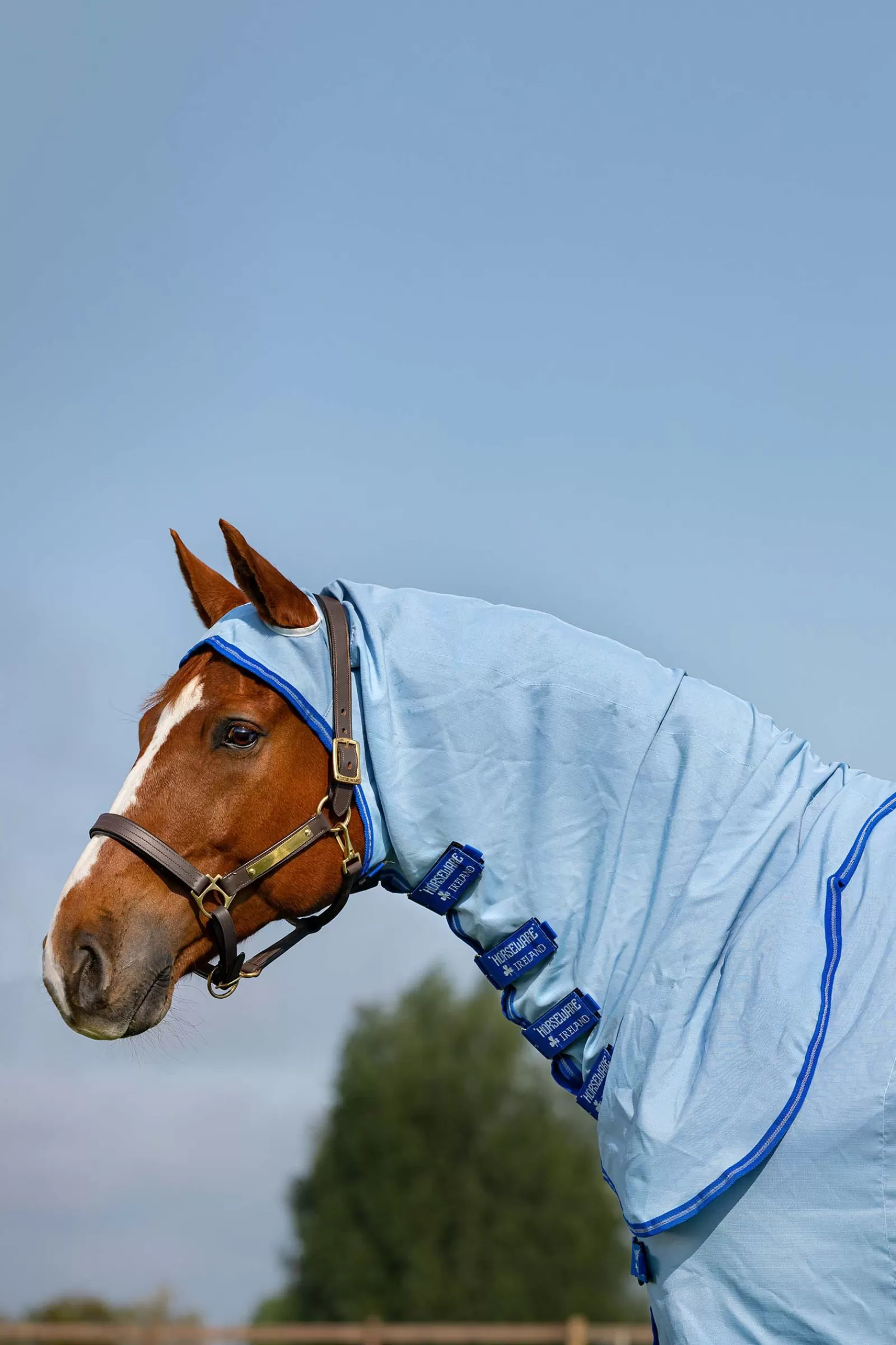 Amigo Hoody Sweet Itch Coperta Con Collo Inamovibile>horseware New