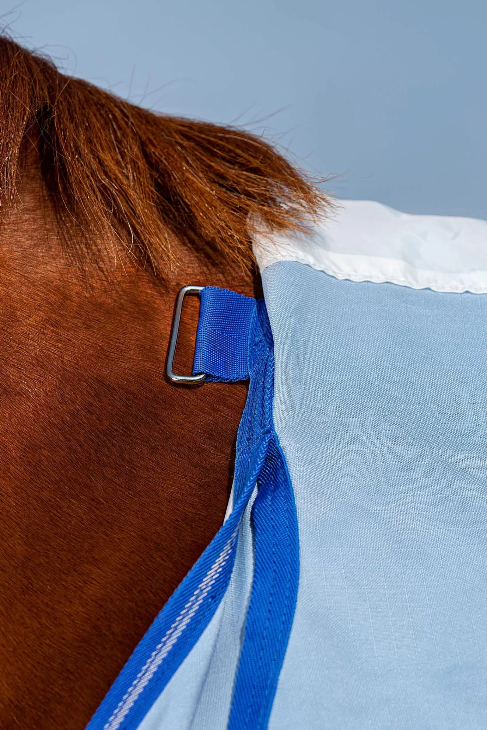 Amigo Hoody Sweet Itch Coperta Con Collo Inamovibile>horseware New