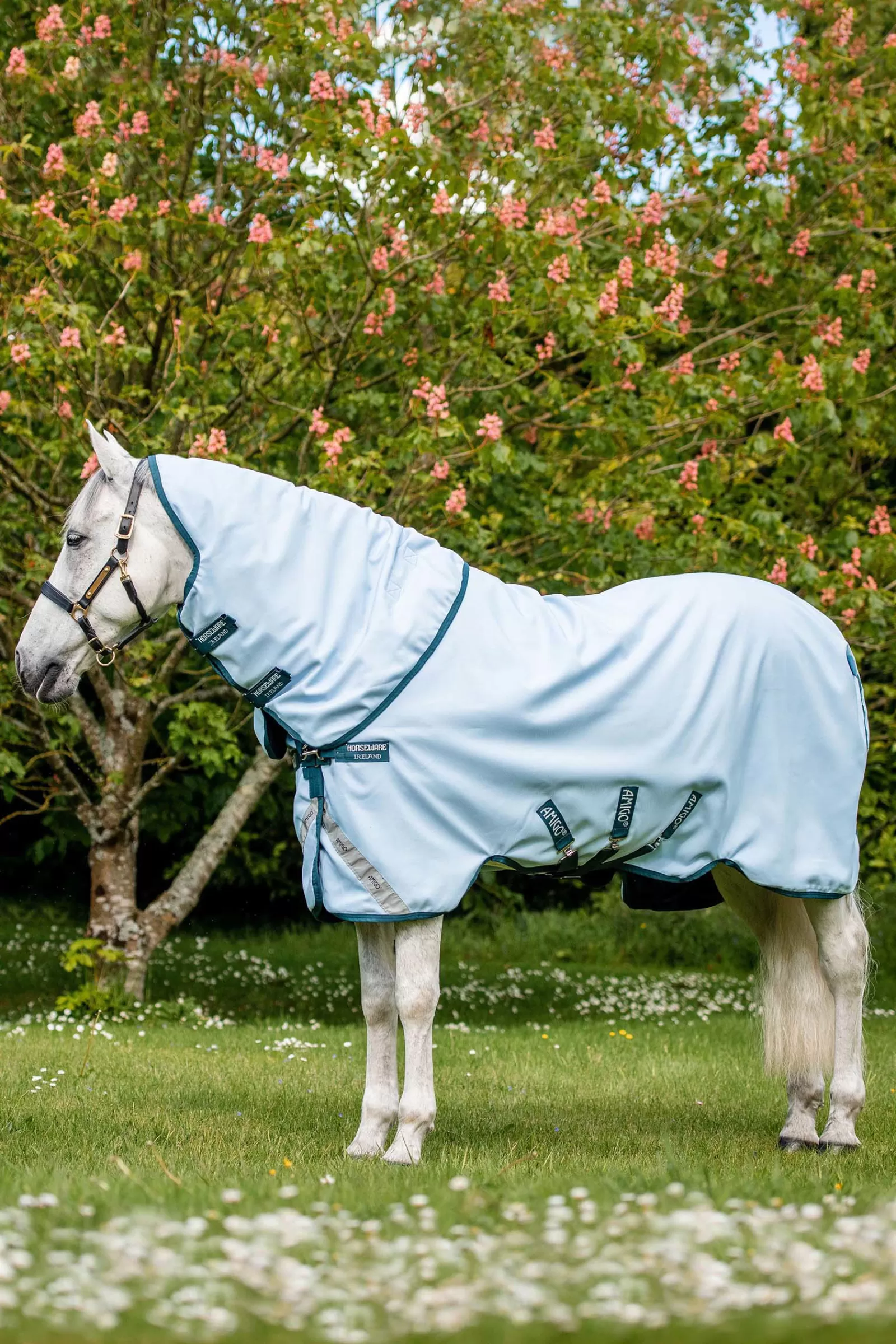 Amigo Plant Dye Coperta Da Turnout, 50 Gr>horseware Flash Sale