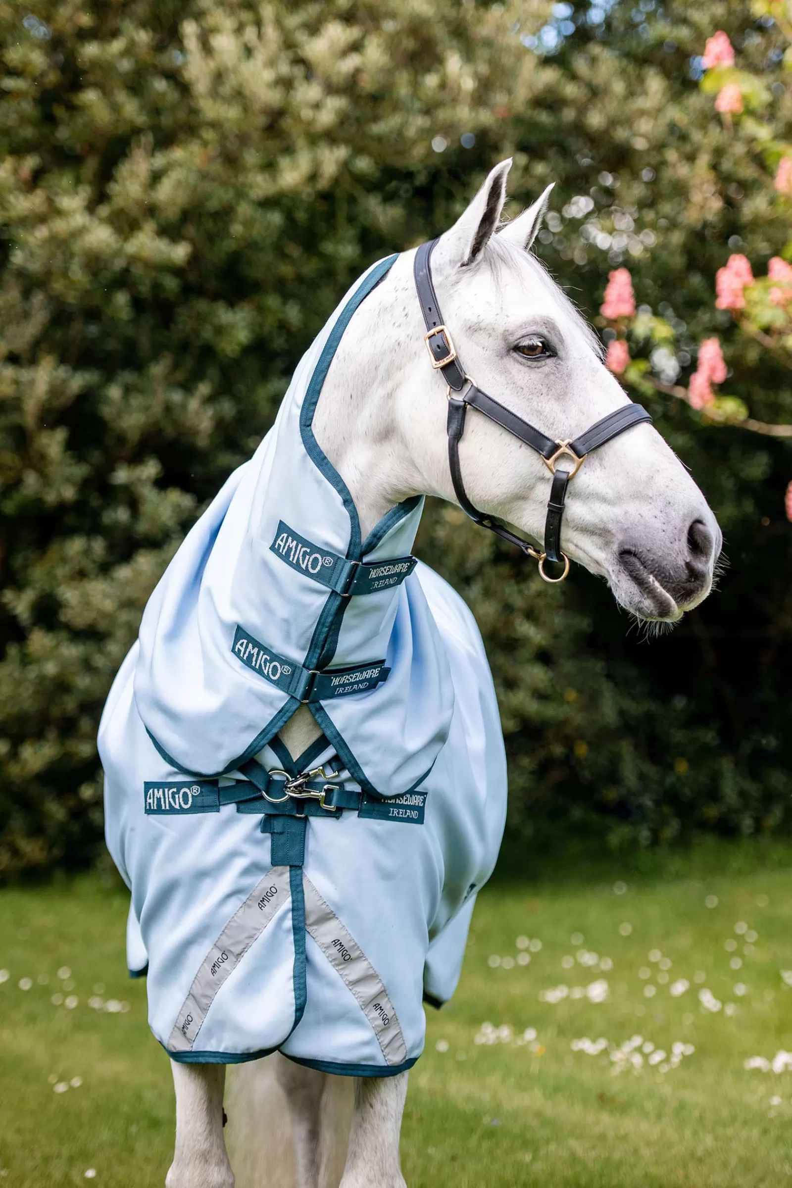 Amigo Plant Dye Coperta Da Turnout, 50 Gr>horseware Flash Sale