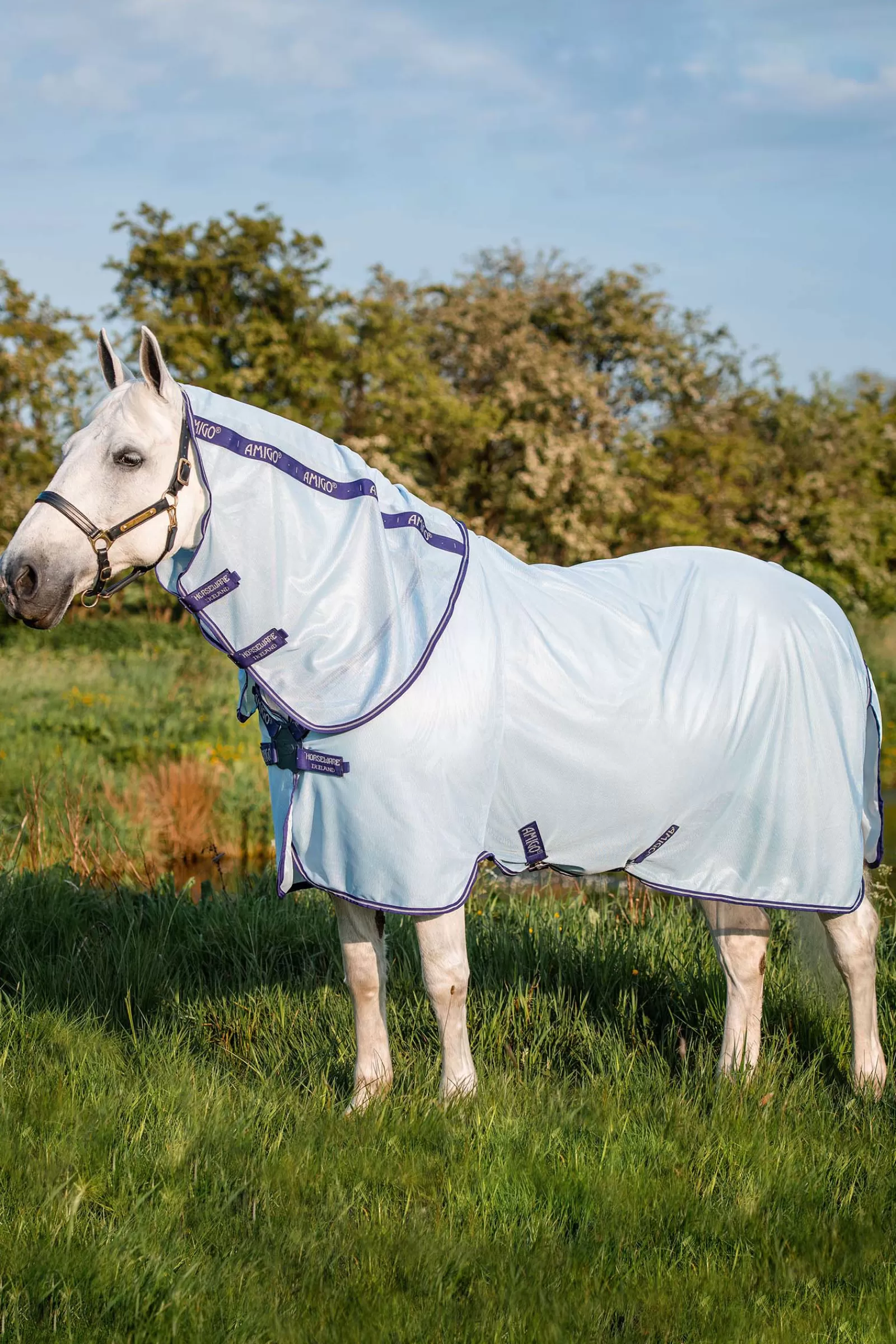 Amigo Xl Coperta Antimosche>horseware Discount