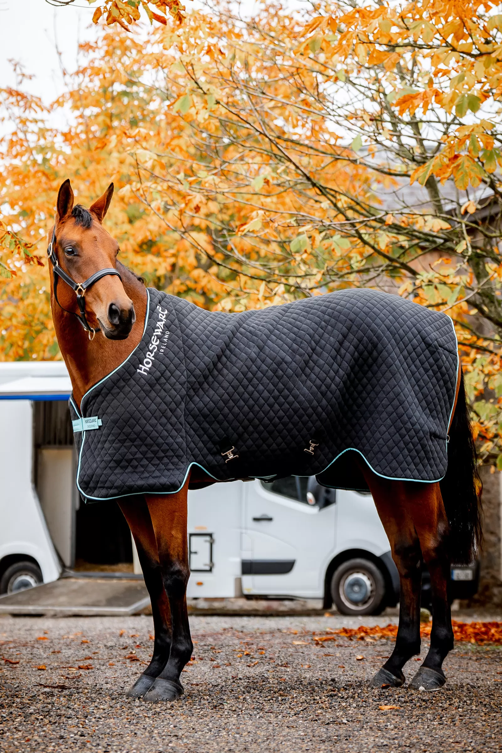 Autumn Coperta Dopolavoro>horseware Cheap