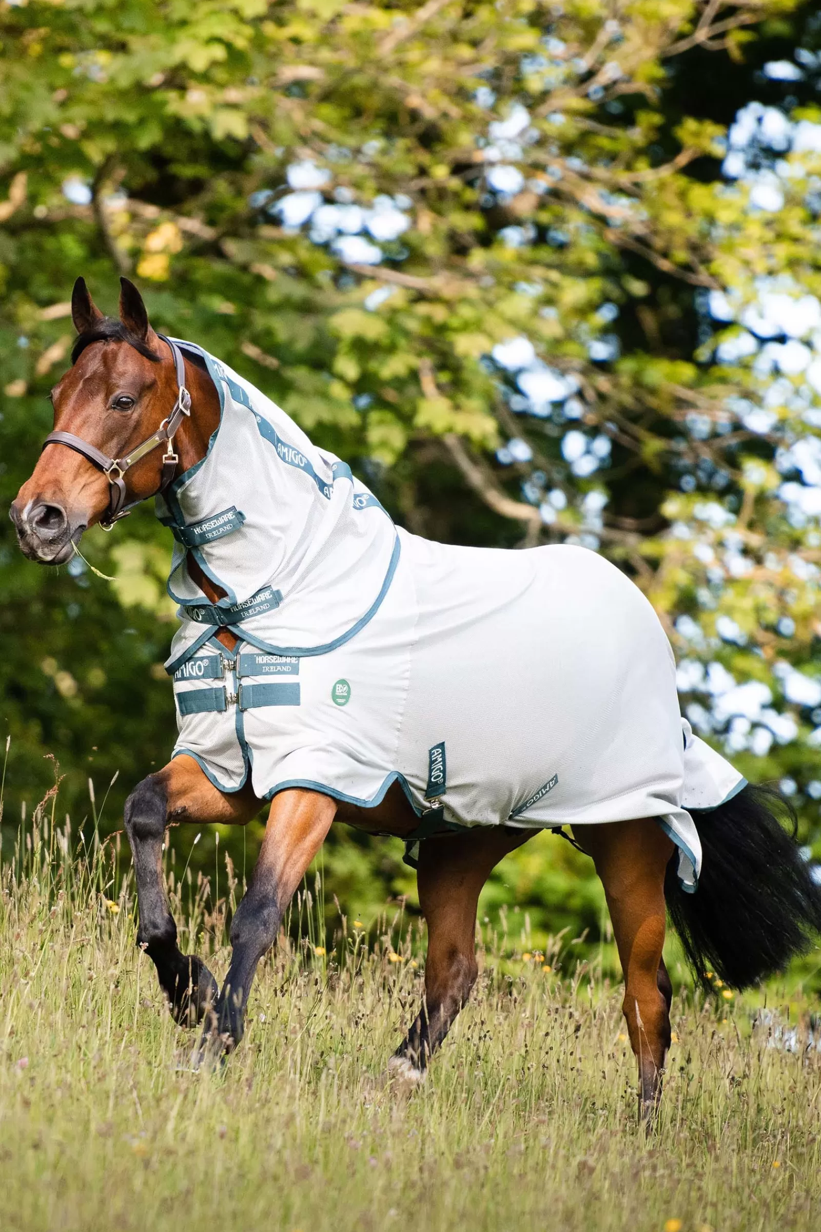 Bug Buster Coperta Antinsetti Ameco>horseware Discount