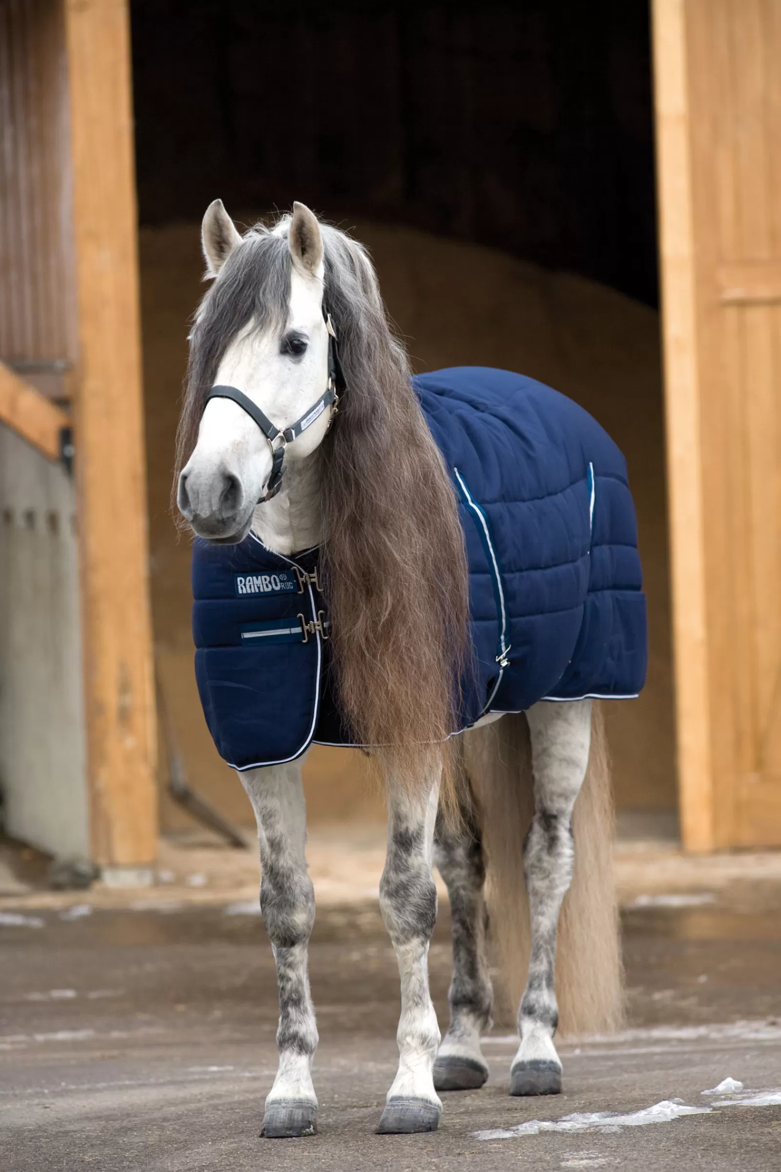 Coperta Da Scuderia Con Fodera Unita, 200 Gr>horseware Fashion