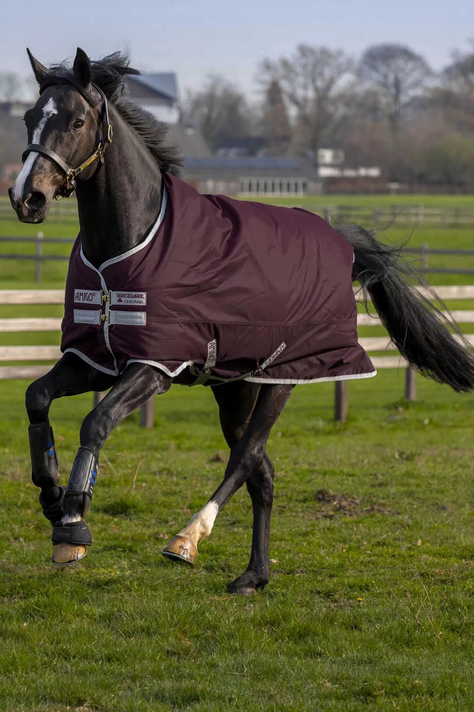 Coperta Da Turnout Amigo Hero In Ripstop Con Fodera In Pile, 50G>horseware Sale