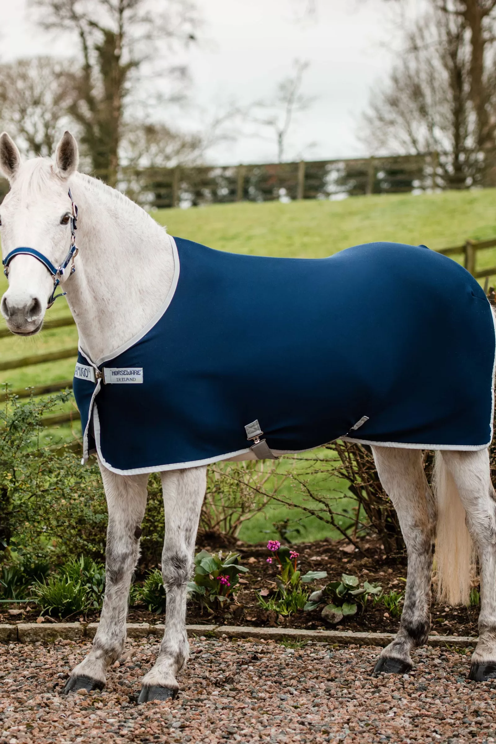 Coperta Raffreddante Amigo In Jersey>horseware Fashion