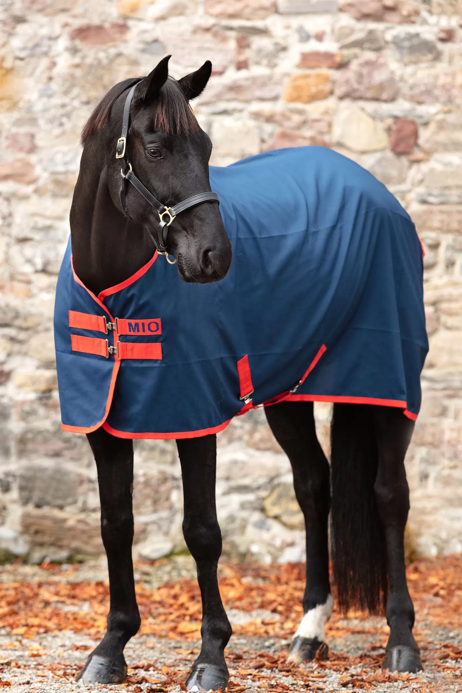 Mio Coperta Da Scuderia, 0 Gr>horseware Online