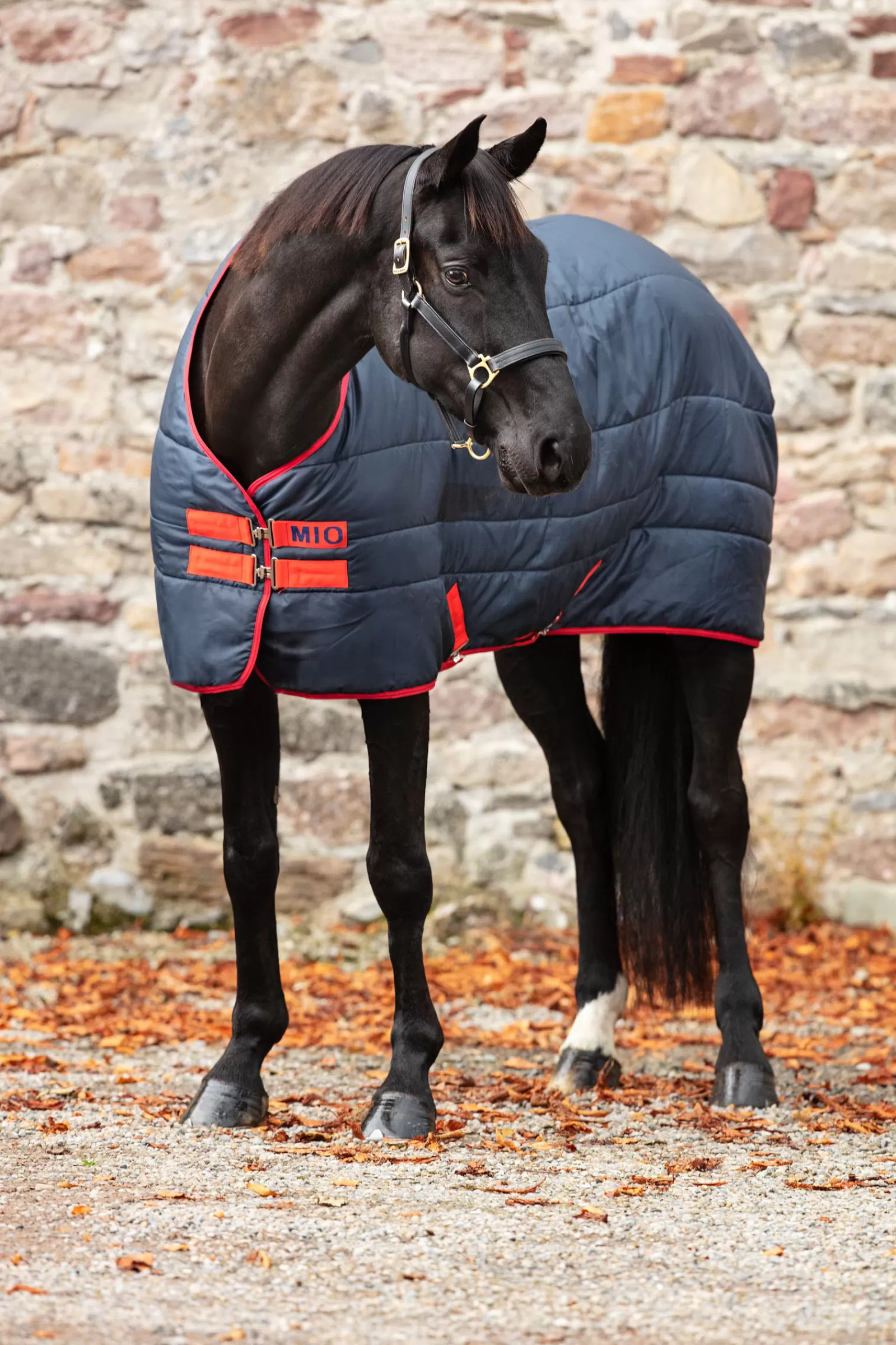 Mio Insulator Coperta Da Scuderia Med Double, 150 Gr>horseware Discount