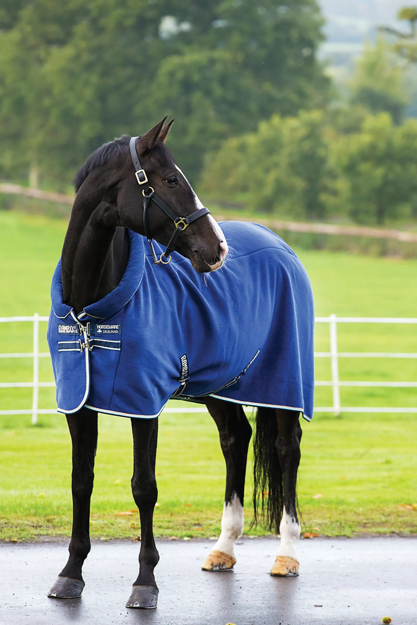 Rambo Cozy Fleece Cooler>horseware Cheap