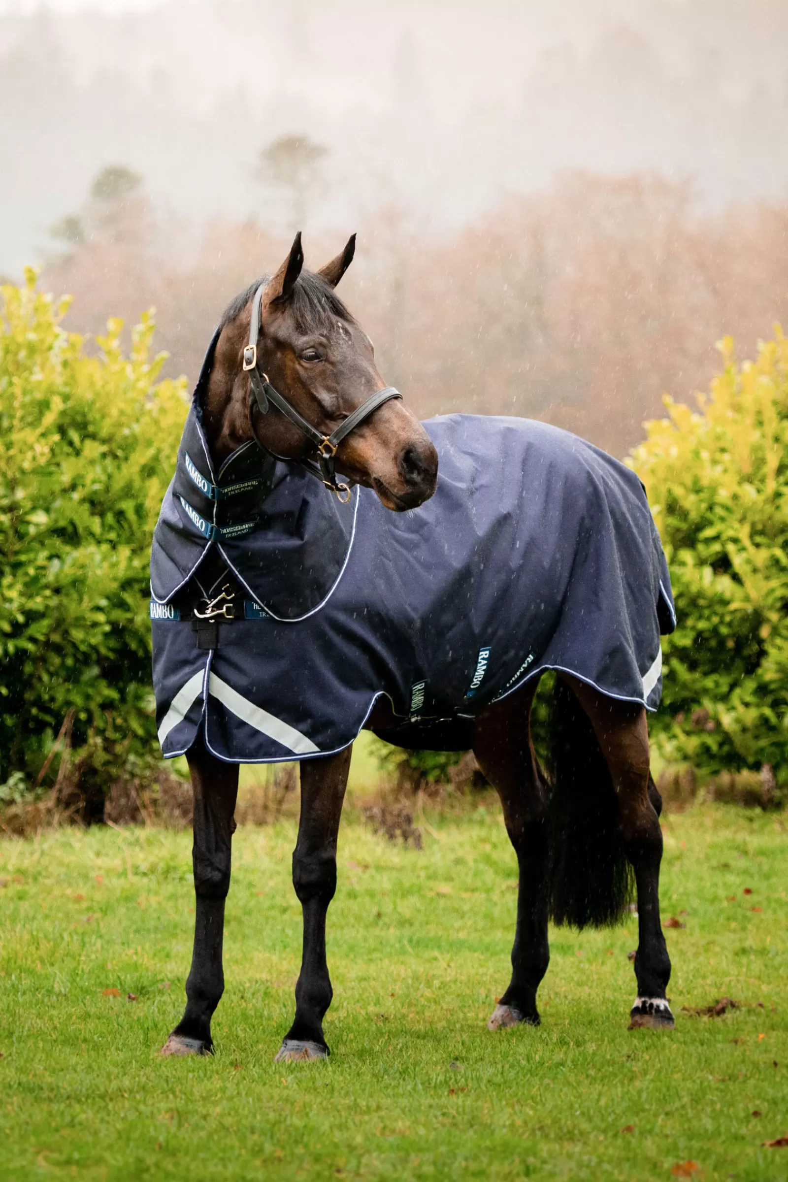 Rambo Duo Force Turnout Incl. Cappuccio Staccabile, 0G>horseware Shop