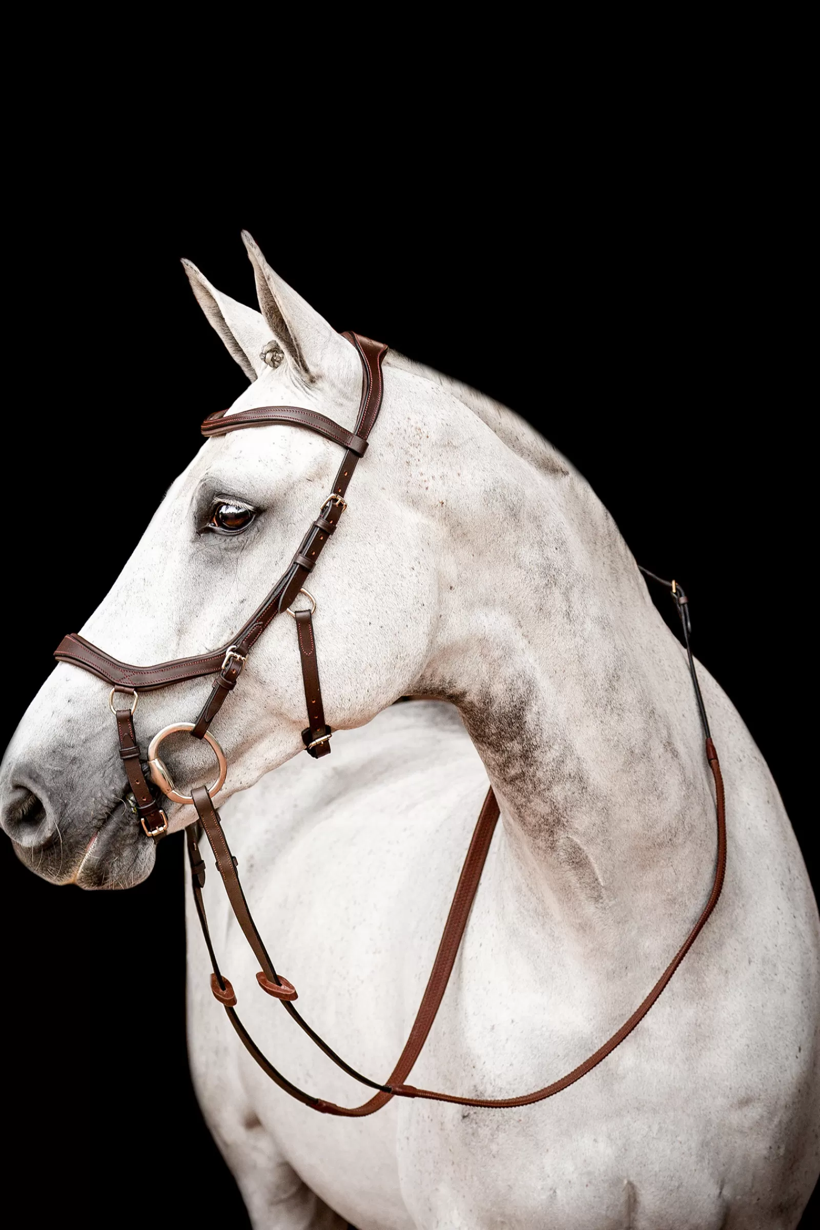 horseware Briglie E Chiudibocca | Rambo Micklem 2 Briglia Da Concorso Dark Brown