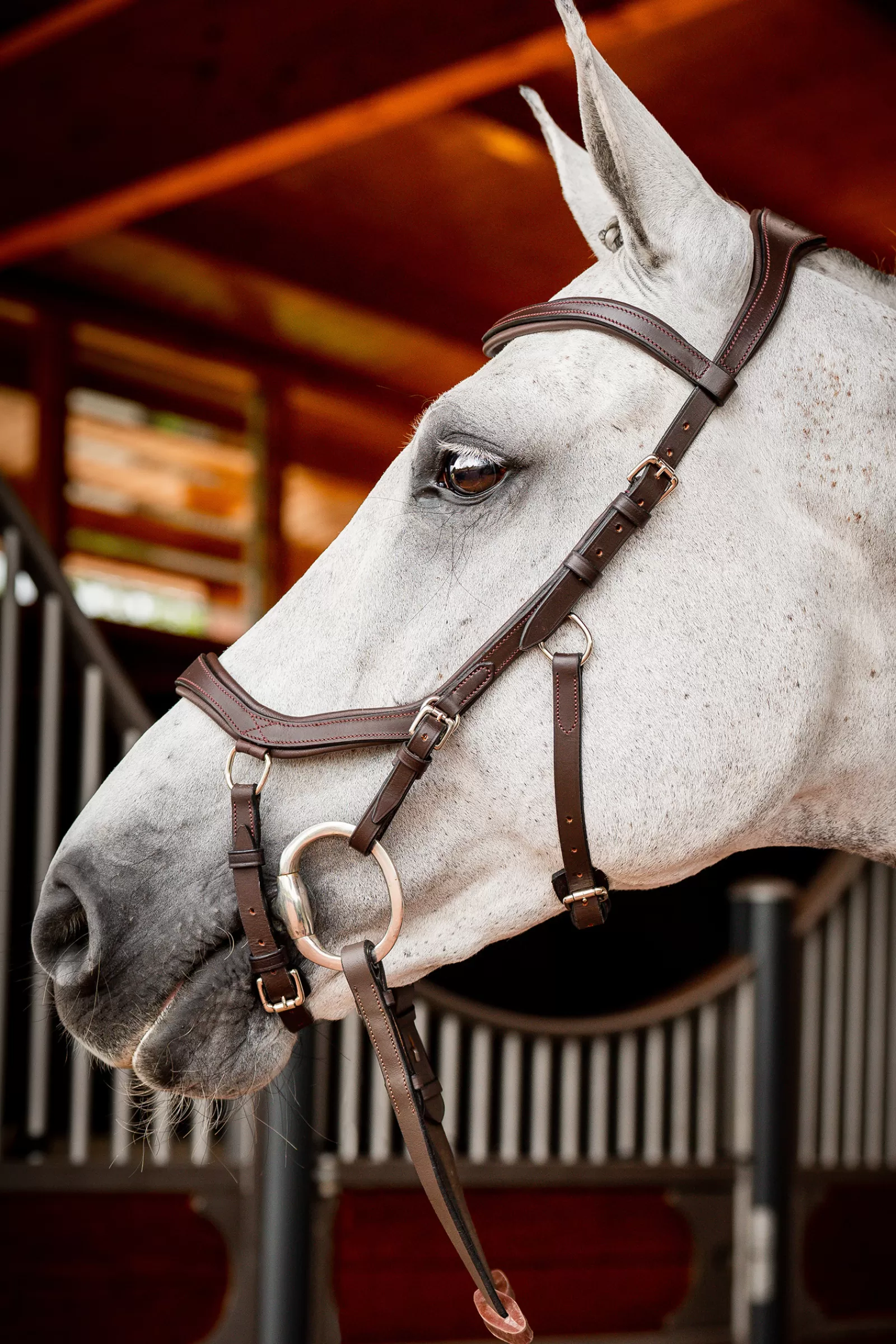 horseware Briglie E Chiudibocca | Rambo Micklem 2 Briglia Da Concorso Dark Brown