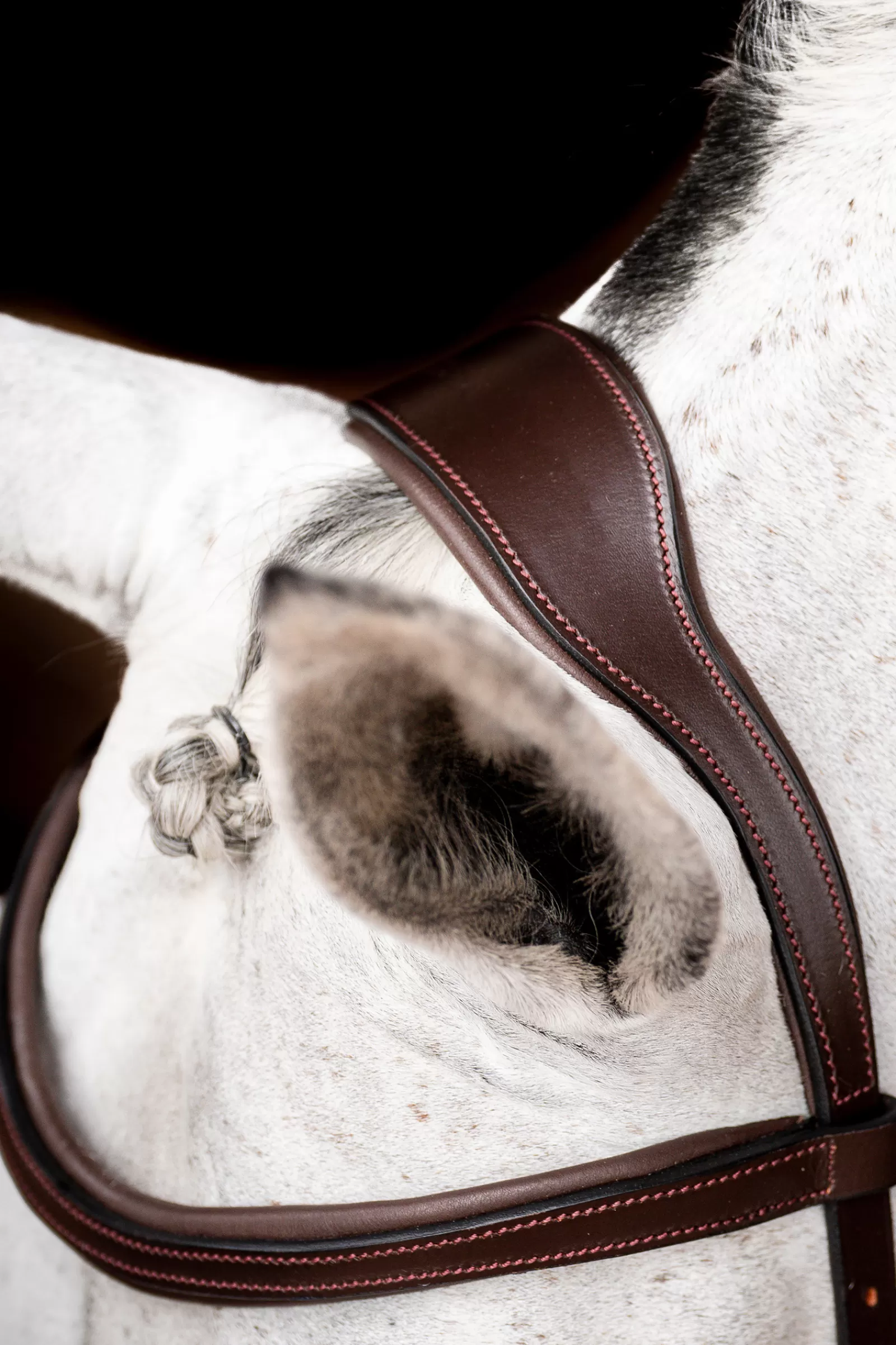 horseware Briglie E Chiudibocca | Rambo Micklem 2 Briglia Da Concorso Dark Brown